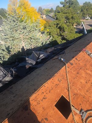 New Roof