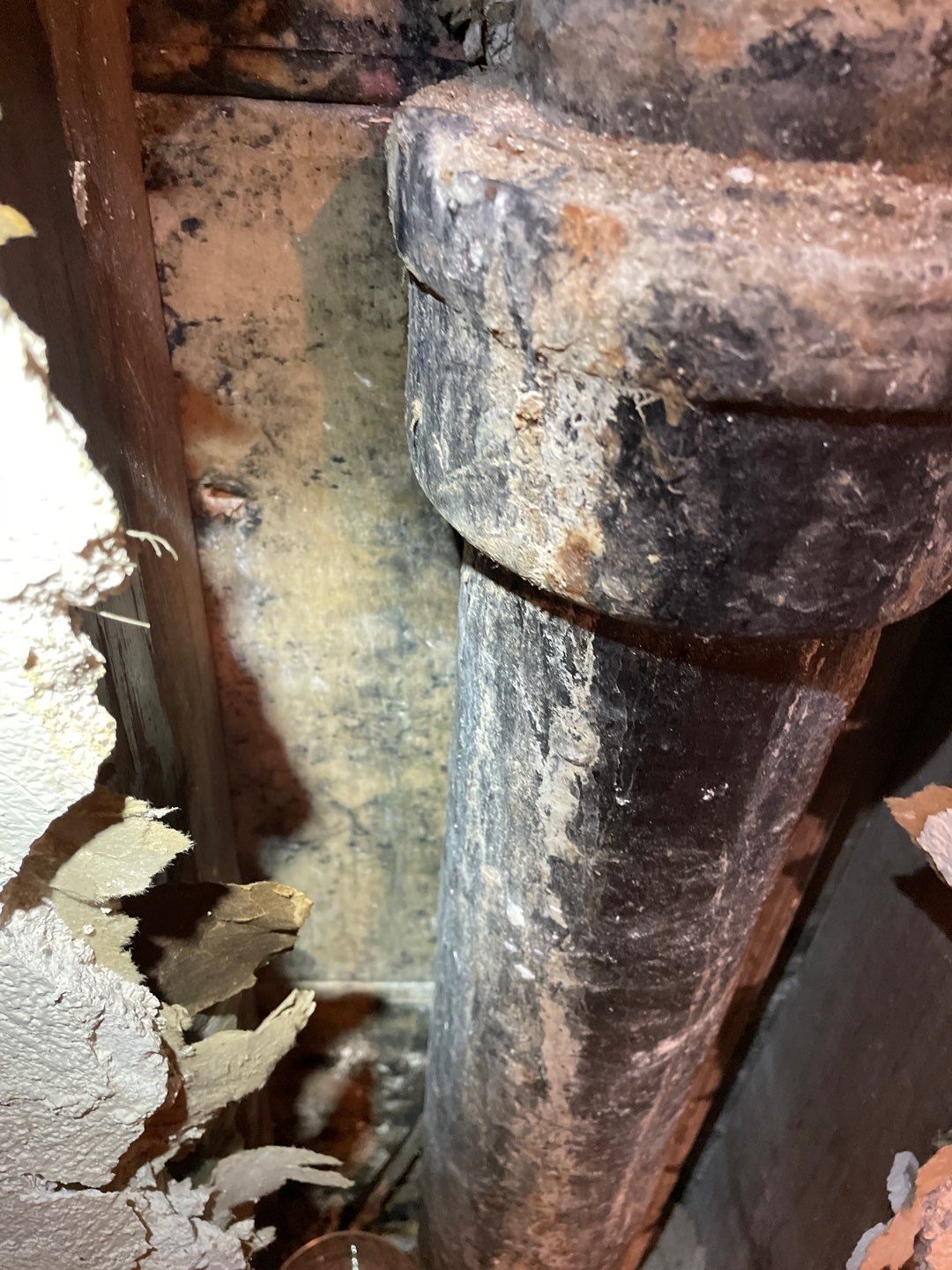 Mold Remediation  by Accountable Home Services