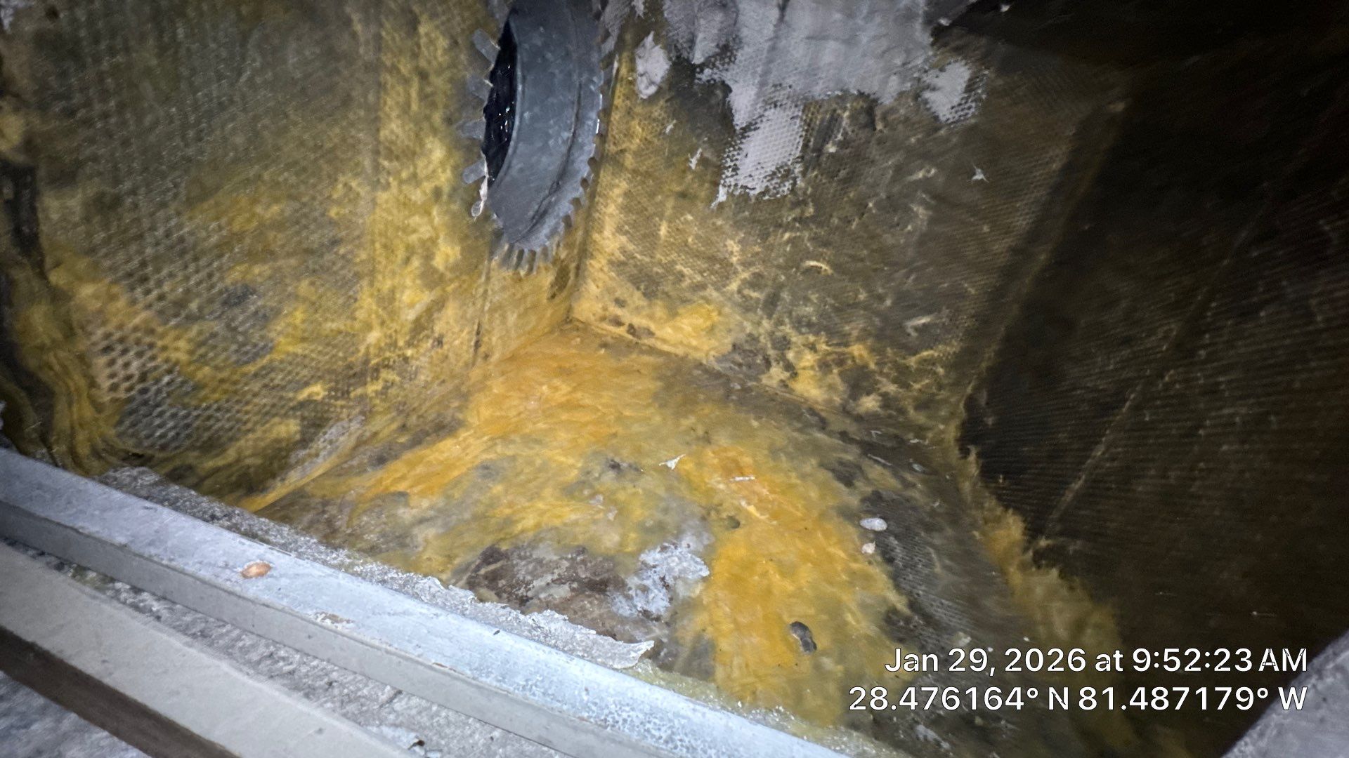 Air Duct Cleaning in Orlando by Hygienic Air, Inc