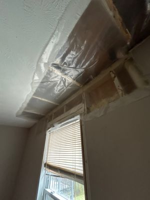 Mold Remediation in Louisville, KY