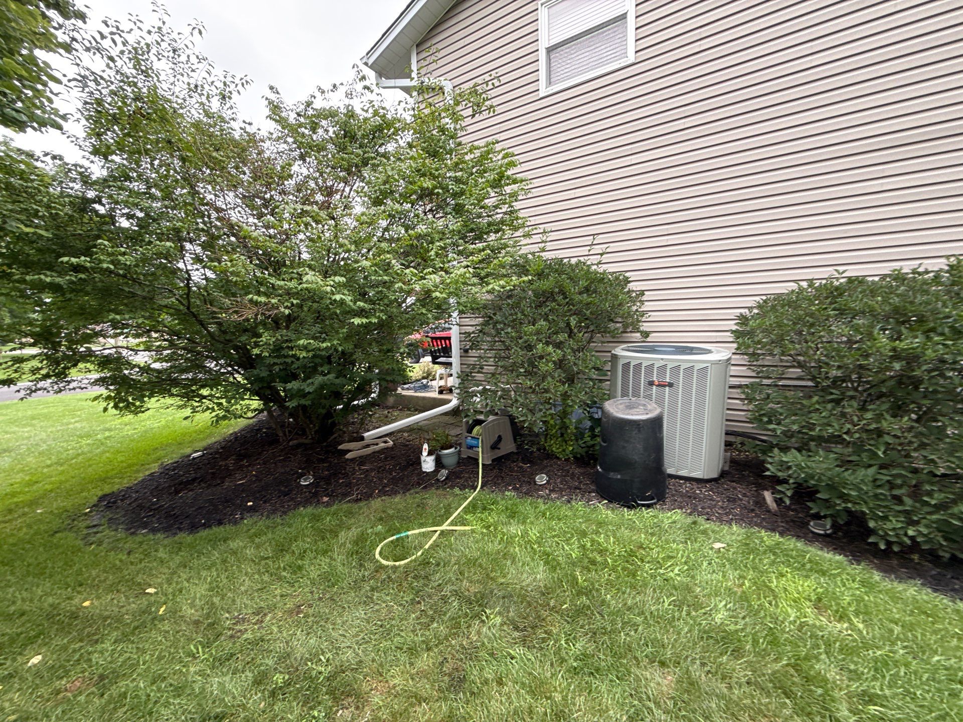 Renee K. - Mount Prospect, IL by A&N 