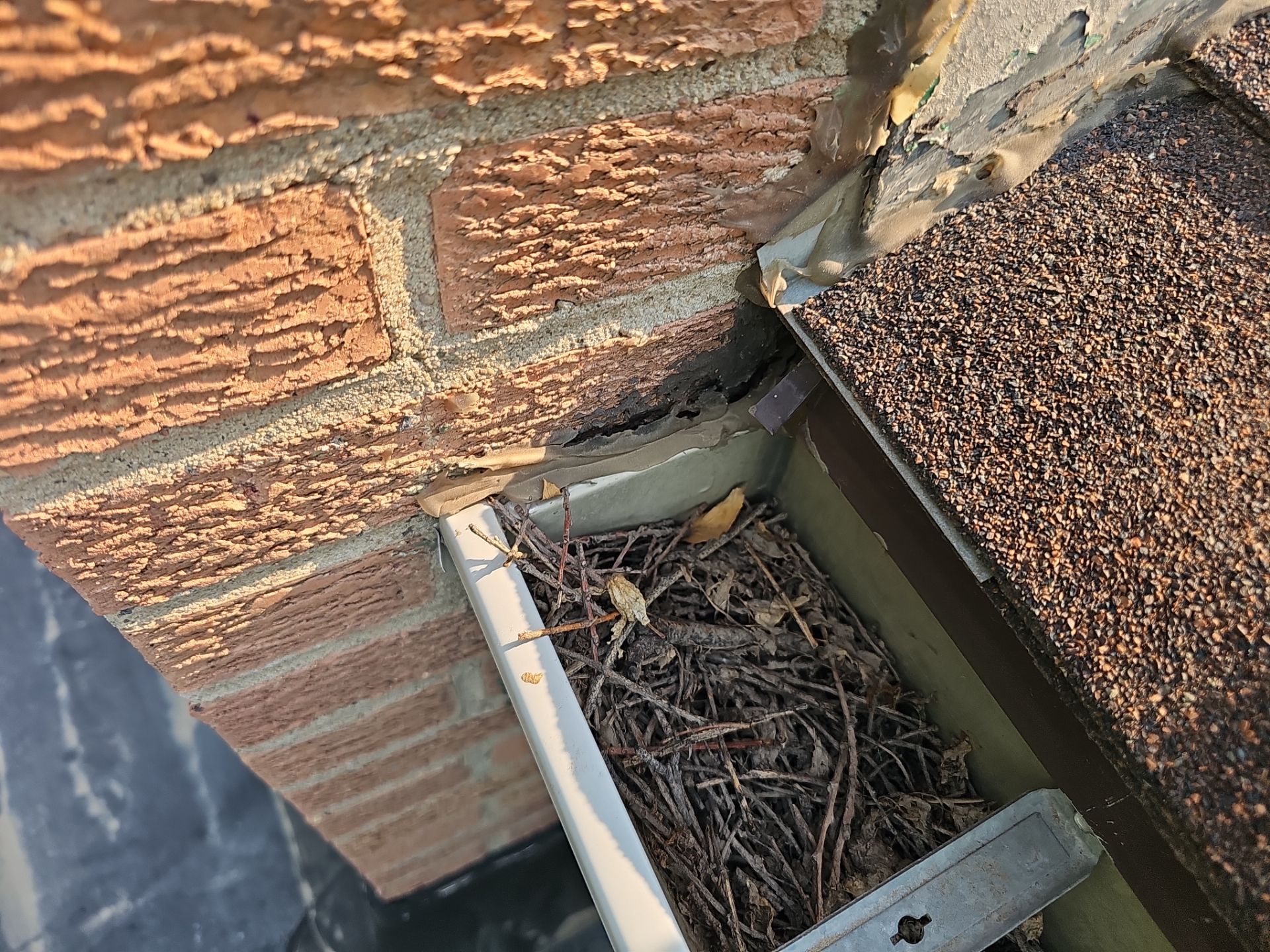 Church Roof Leak Repair in Bayard, NE by Loyal Nine