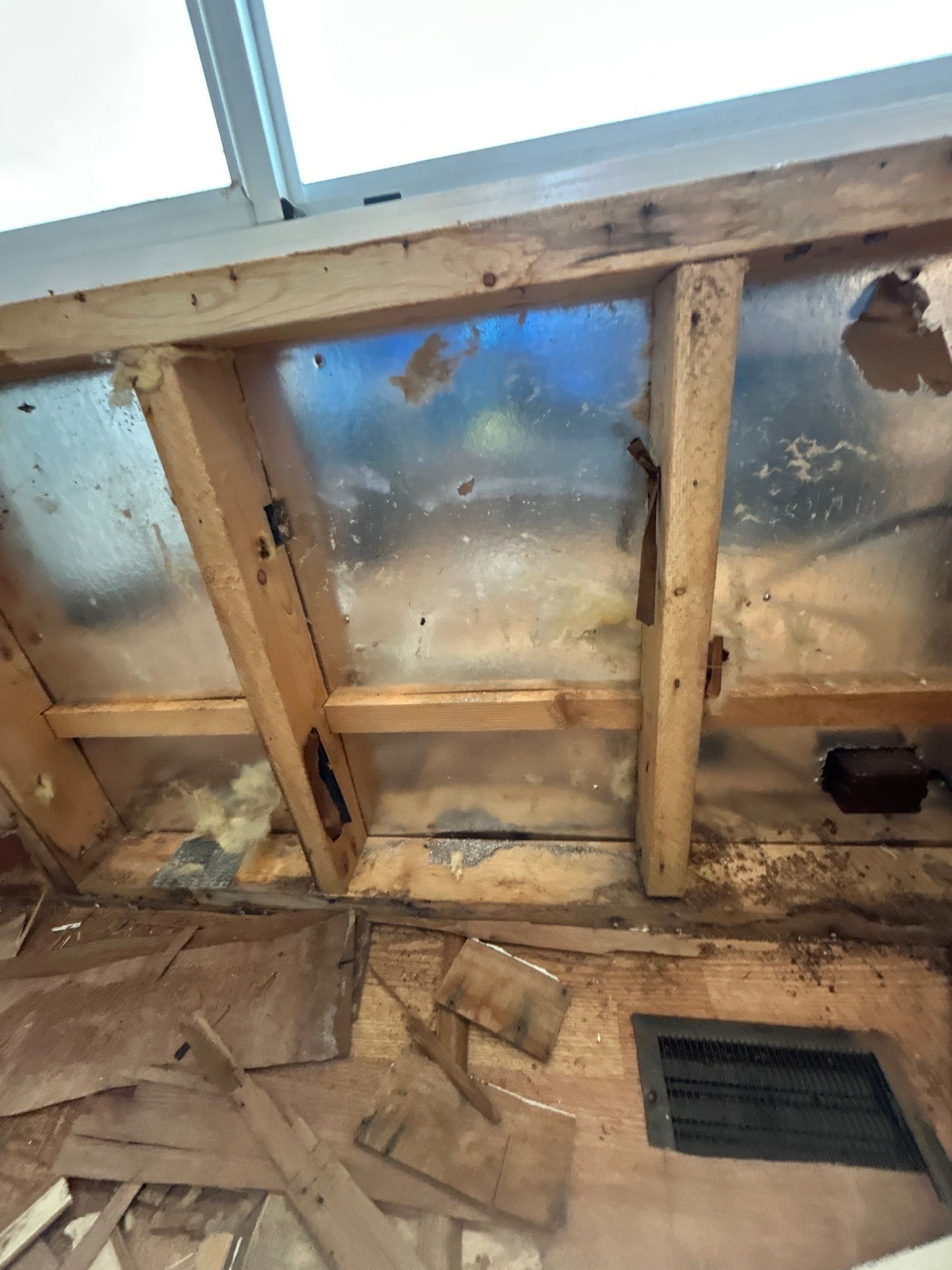 Mold Remediation Bradenton by Ampm Restoration Services 