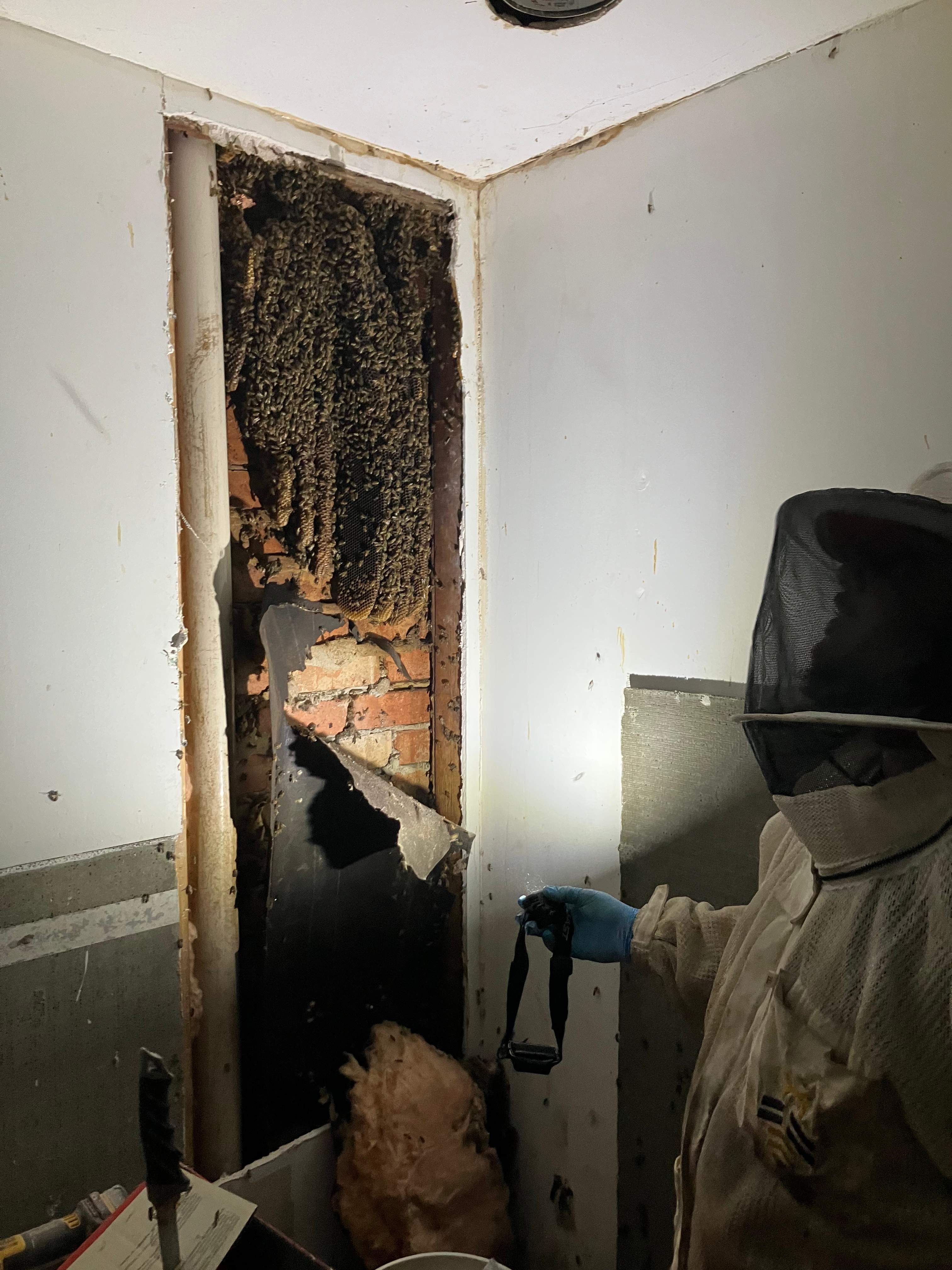 Improper Repair by Rockwall Honey Bee Company