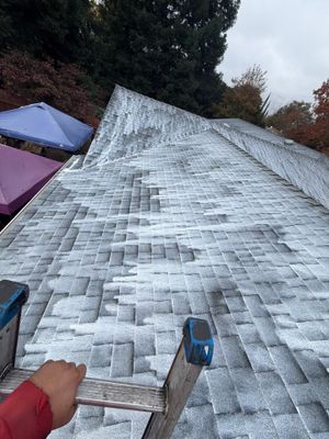 Roof Rejuvenation using Roof Maxx Treatment