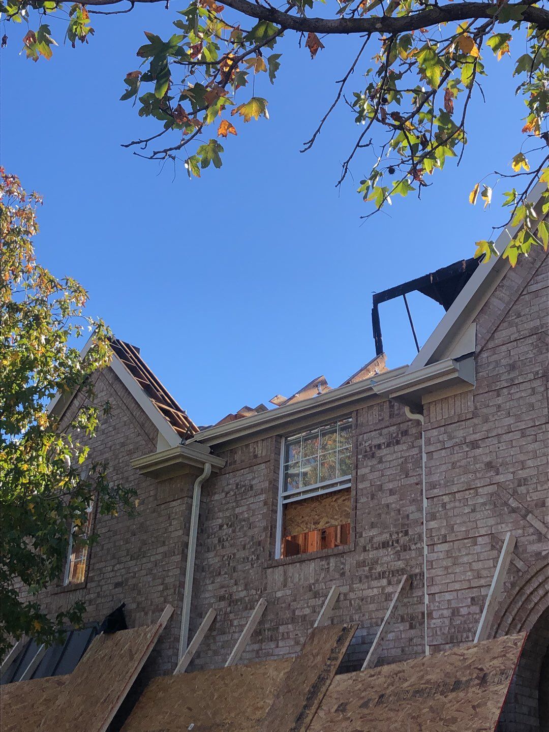 Fire Restoration project by Springtree Restoration 