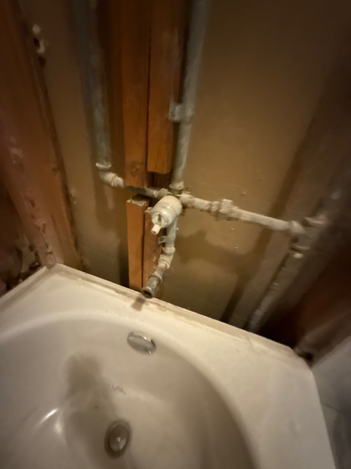 The Napolitano Family by SophAlx LLC