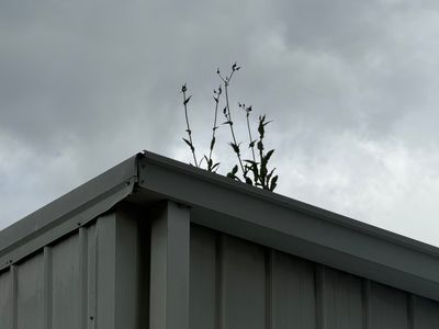 Ocala Metal Building and Gutter Cleaning