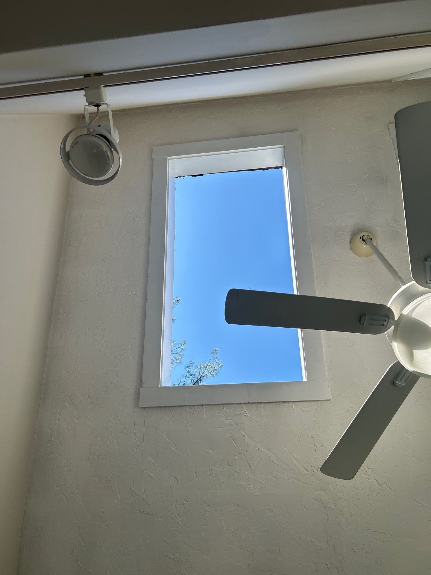Skylights | Acton by Mighty Dog Roofing of Greater Middlesex County