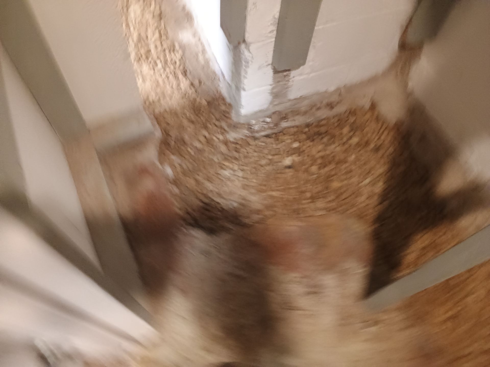 Drain Tile & a Sump Pump for our Property Management Partner by Waterproofing Northeast