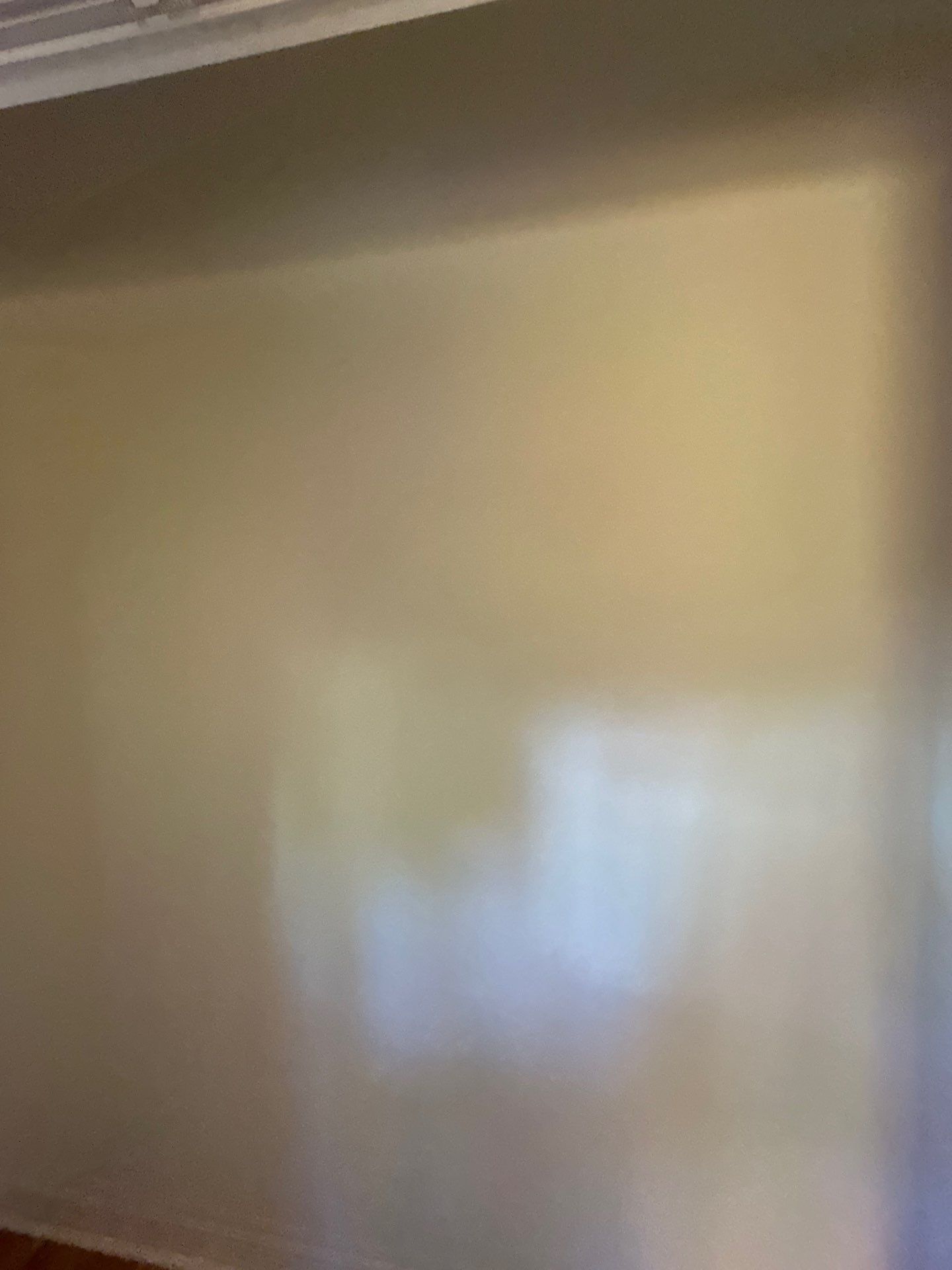Mold Damage Restoration In Osprey by Ampm Restoration Services