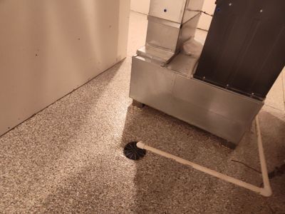 Perfect Time for a Basement Coating