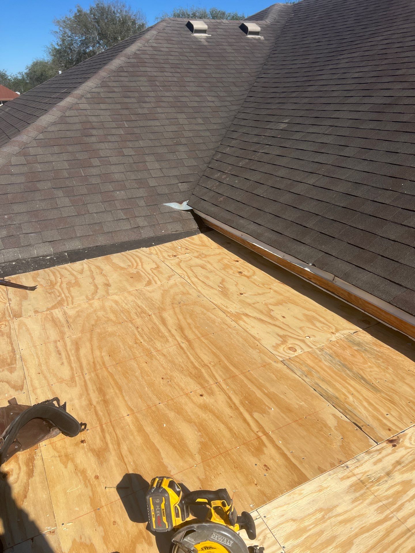 It Ain't Easy getting Shady  by Bayfront Roofing and Construction