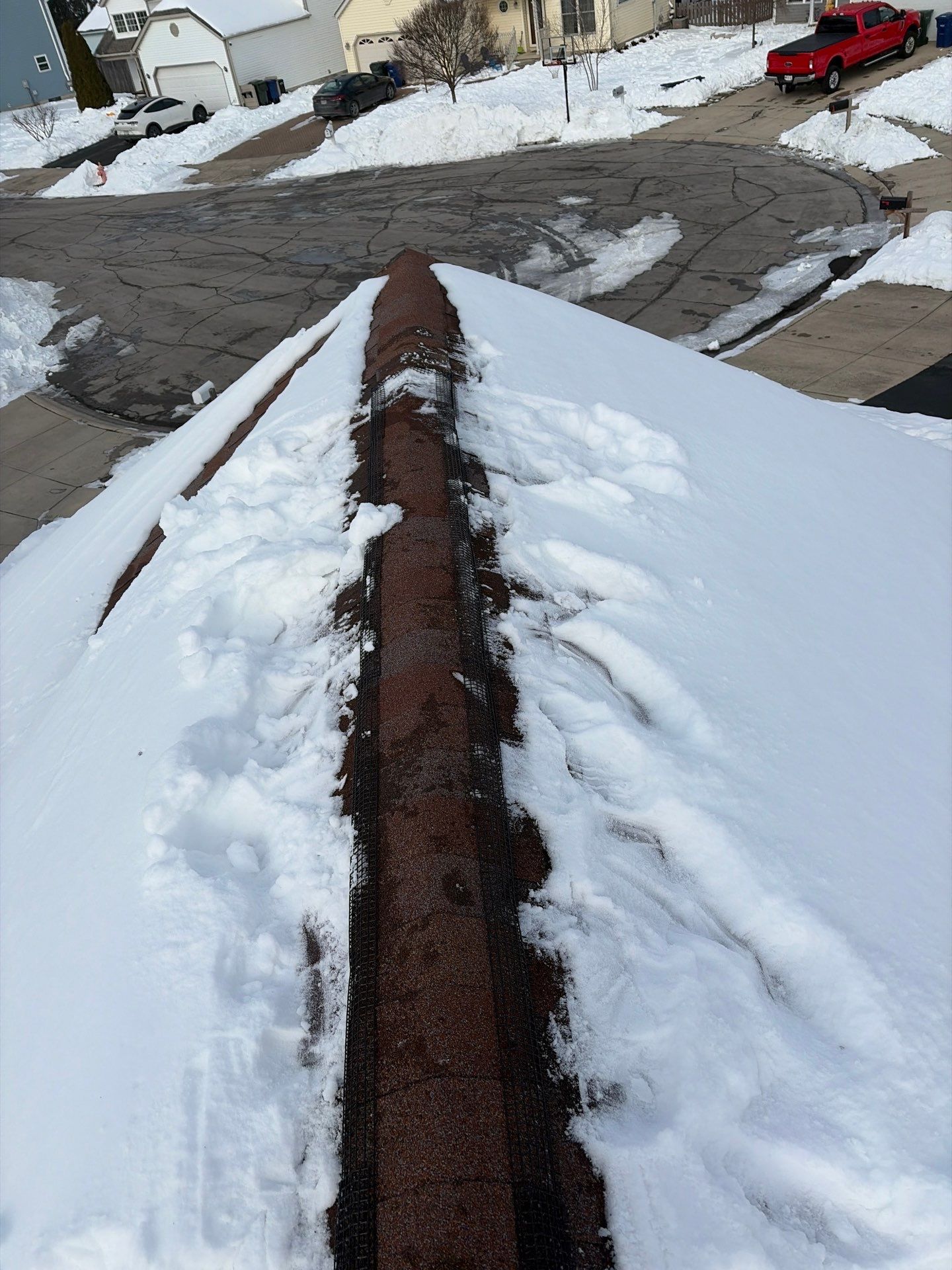 Ultimate Pro Wildlife Removal LLC Columbus Ohio featured photo.