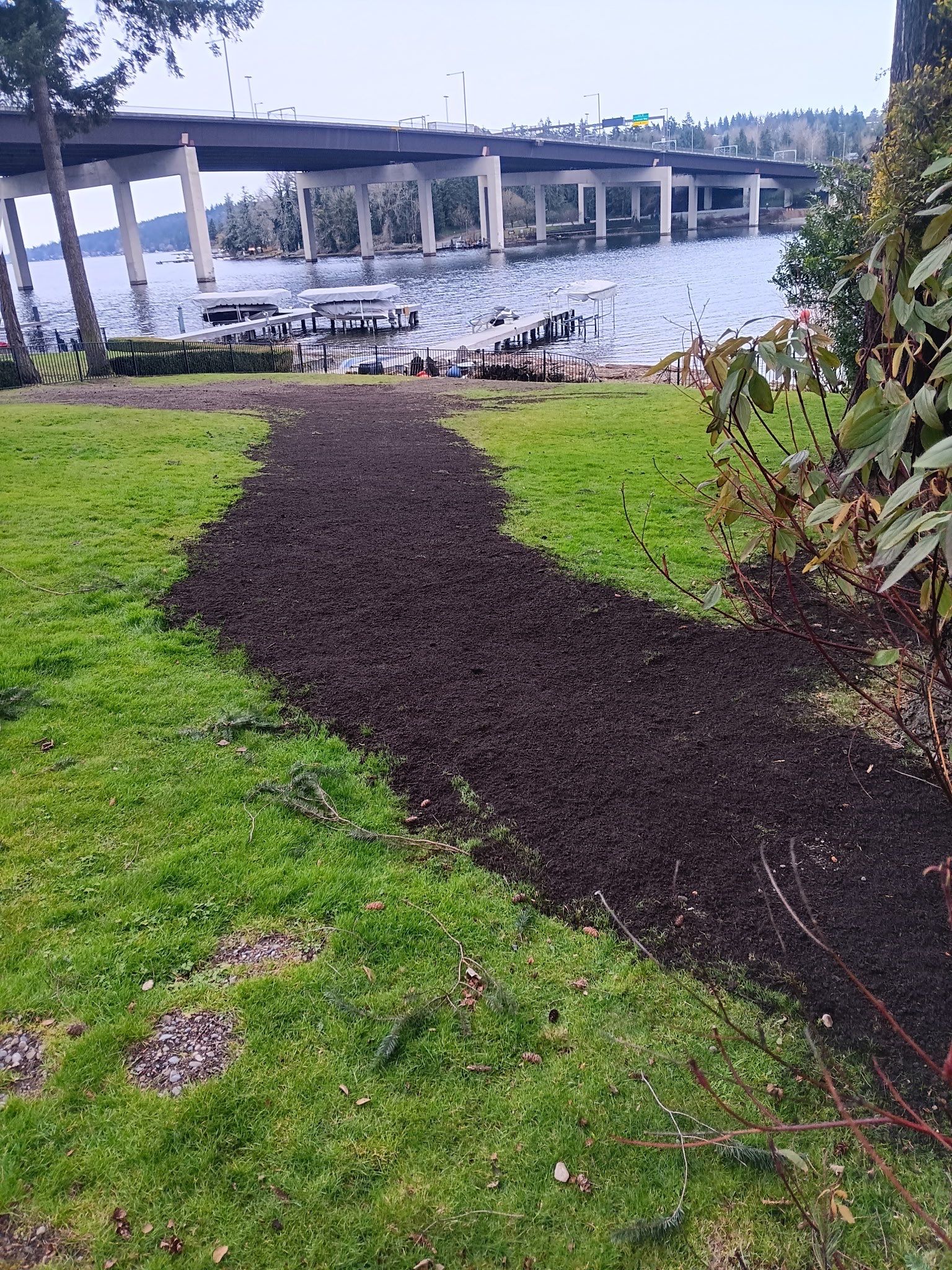 π² Bellevue Emergency Tree Removal β Trees Fallen into Lake Washington | ISA Certified Arborist Response by Sound Tree Care LLC