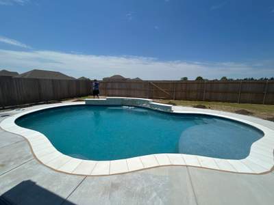 Freeform Pool with Tanning Ledge