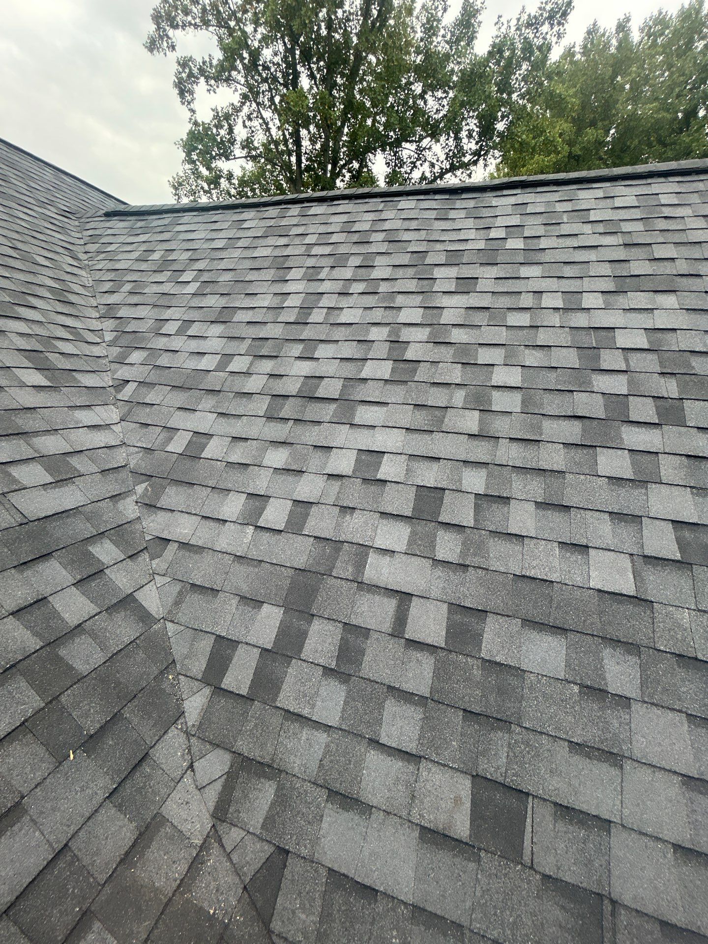Great Falls : residential Roof with CertainTeed Landmark Pro in Max Def Moire Black  by RM Banning, Inc.