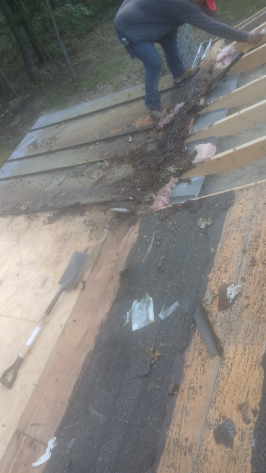 Roof Replacement - Storm Damage by Winchester Roofing