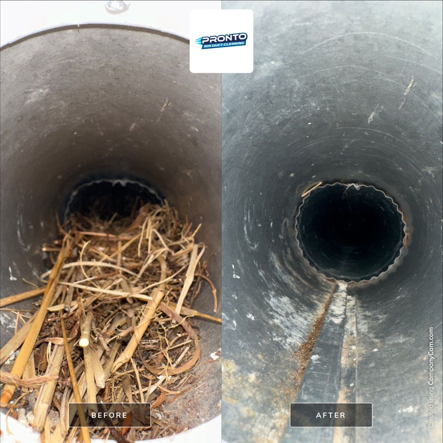 Dryer Vent Cleaning | Vent Cover Replacement by Pronto Air Duct Cleaning