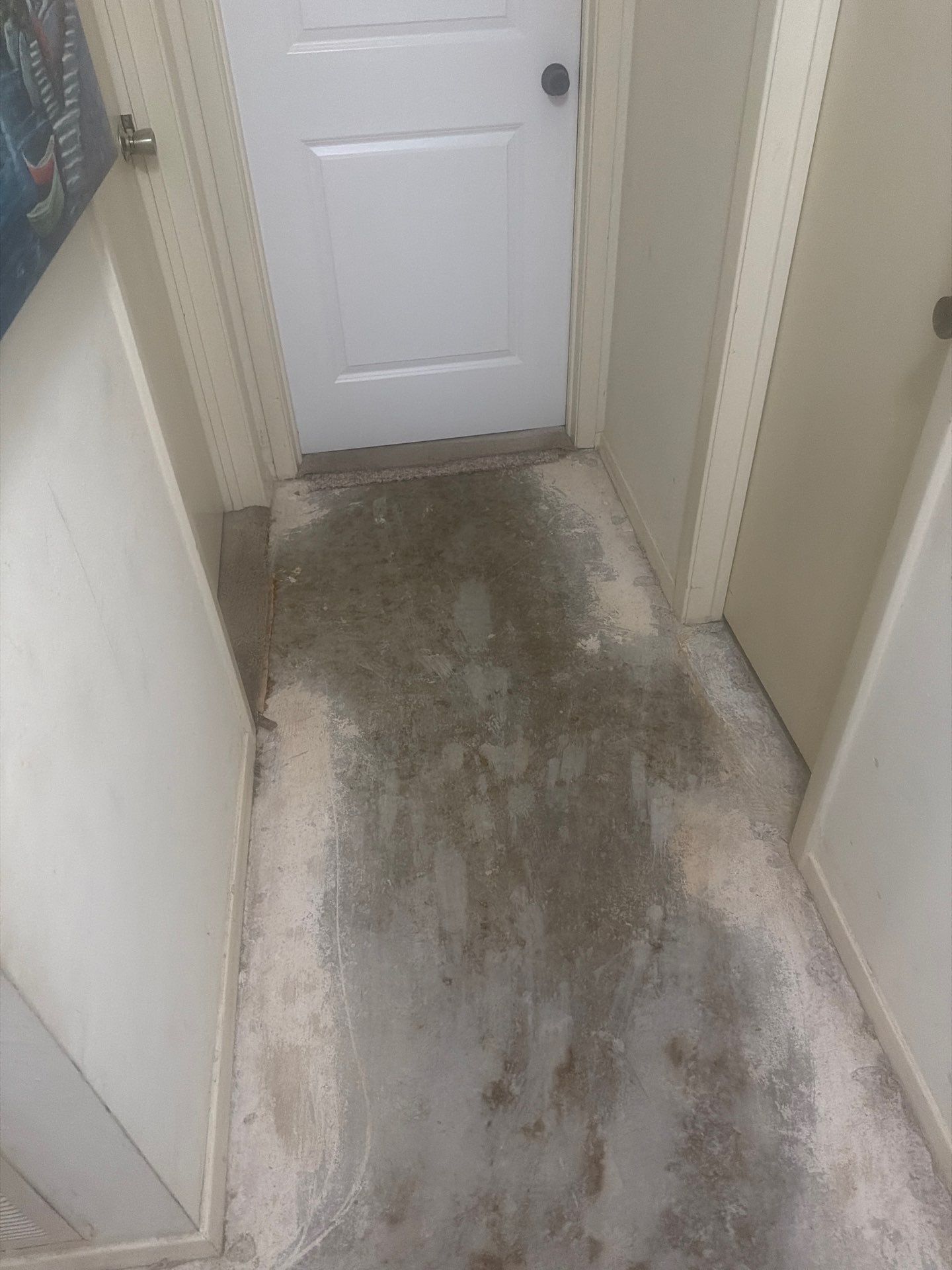 Flooring Upgrade - In Houston Texas by Harden Enterprise Services LLC