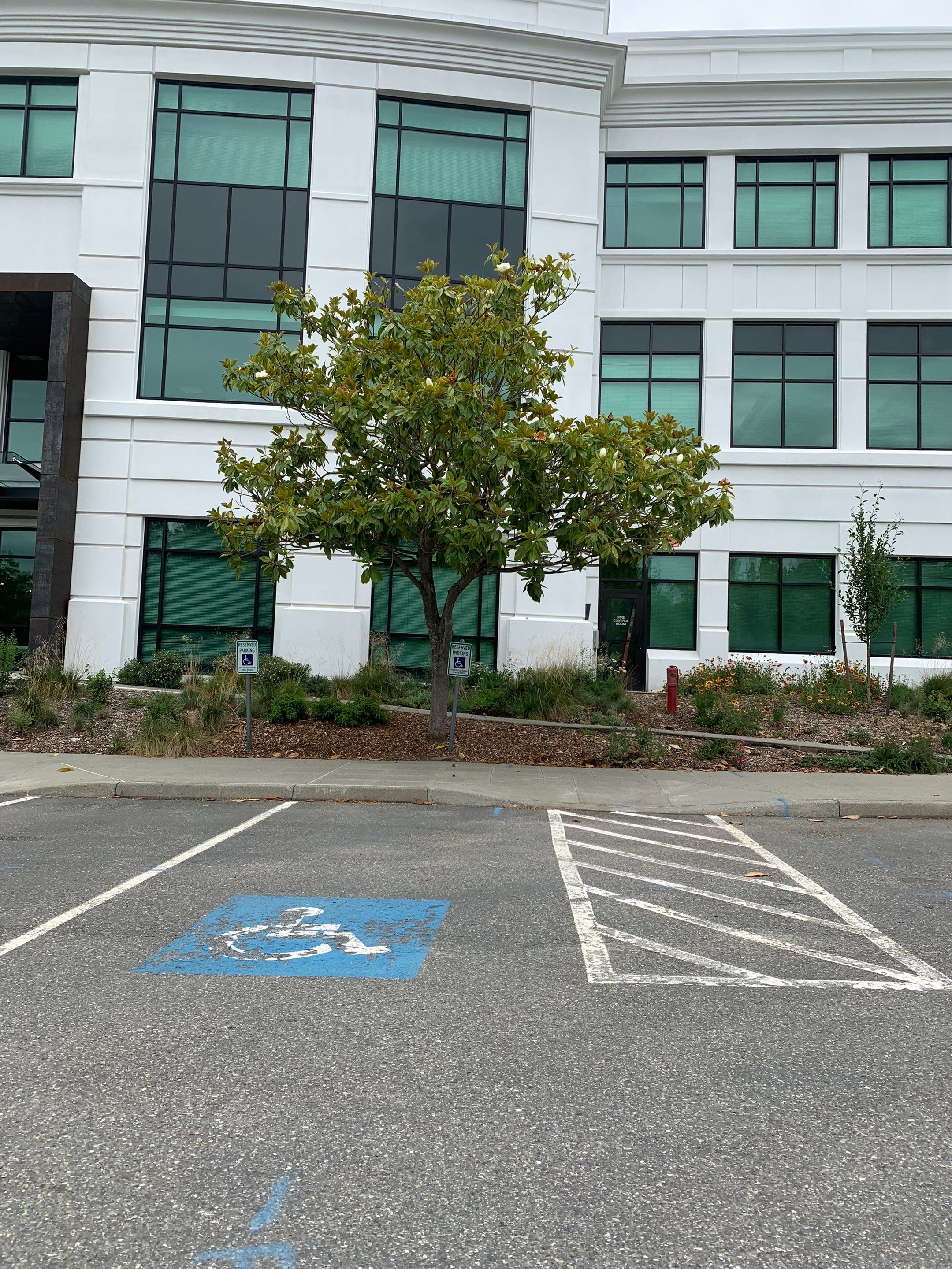 BN Builders | Asphalt Parking Lot by Jireh Asphalt & Concrete Inc 