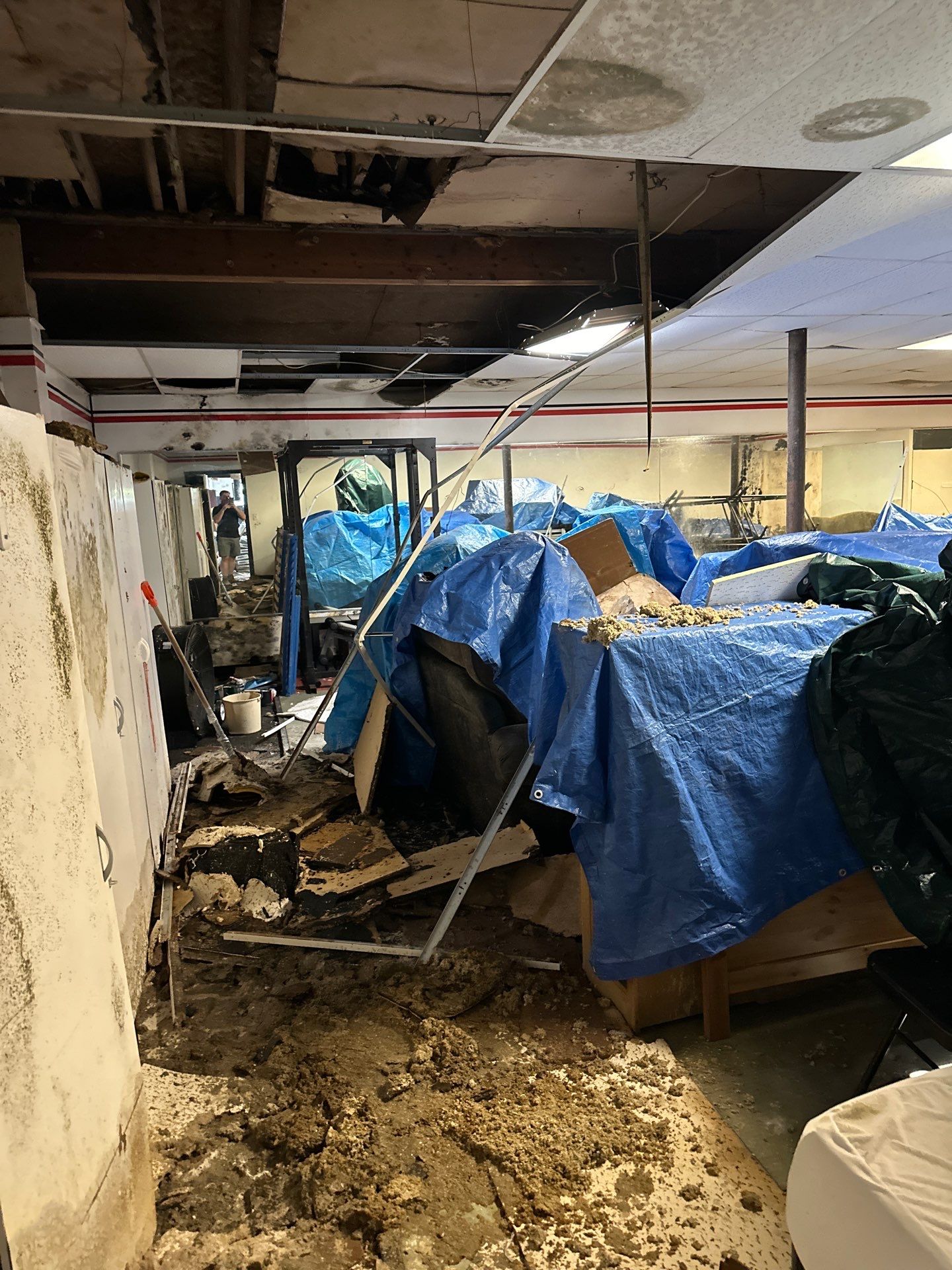 Extreme Mold Contamination: Full-Building Remediation Case Study by BlueRed Restoration