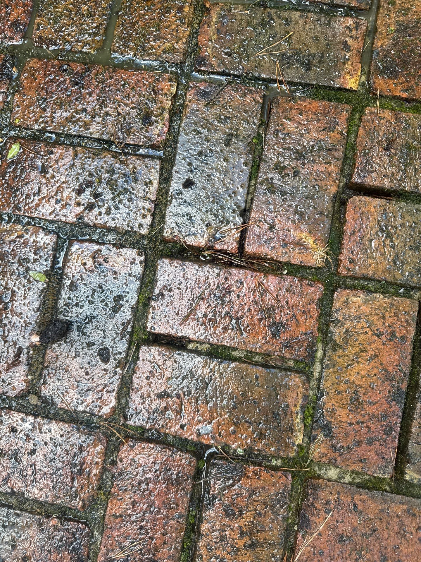 Roof - Driveway - Patio Clean using 18inch Whirlaway FSC by Ges Exterior Cleaning ltd
