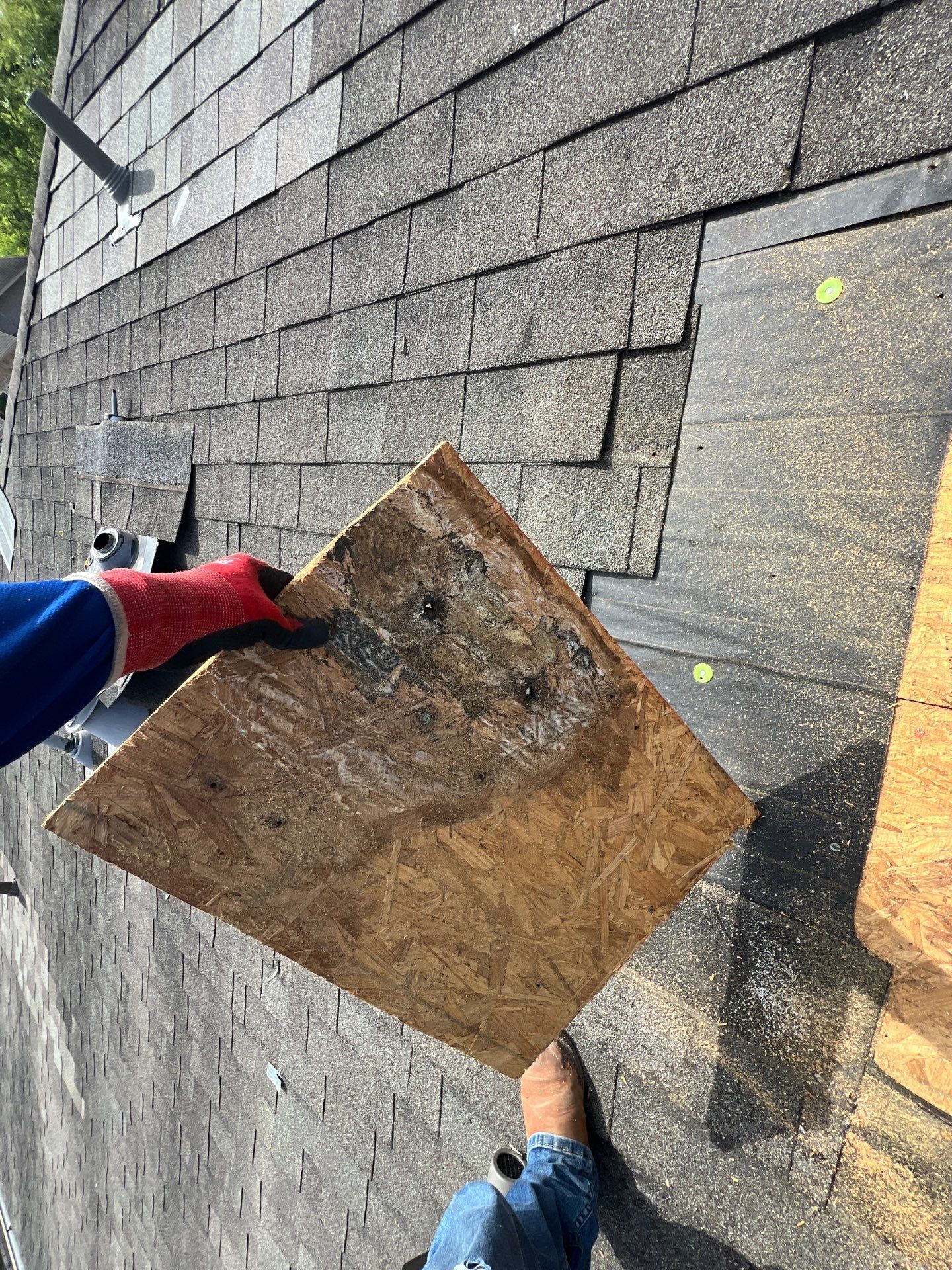 Hail Damage using Owen's Corning Duration (Lifetime) Shingles by Roof Repair Company