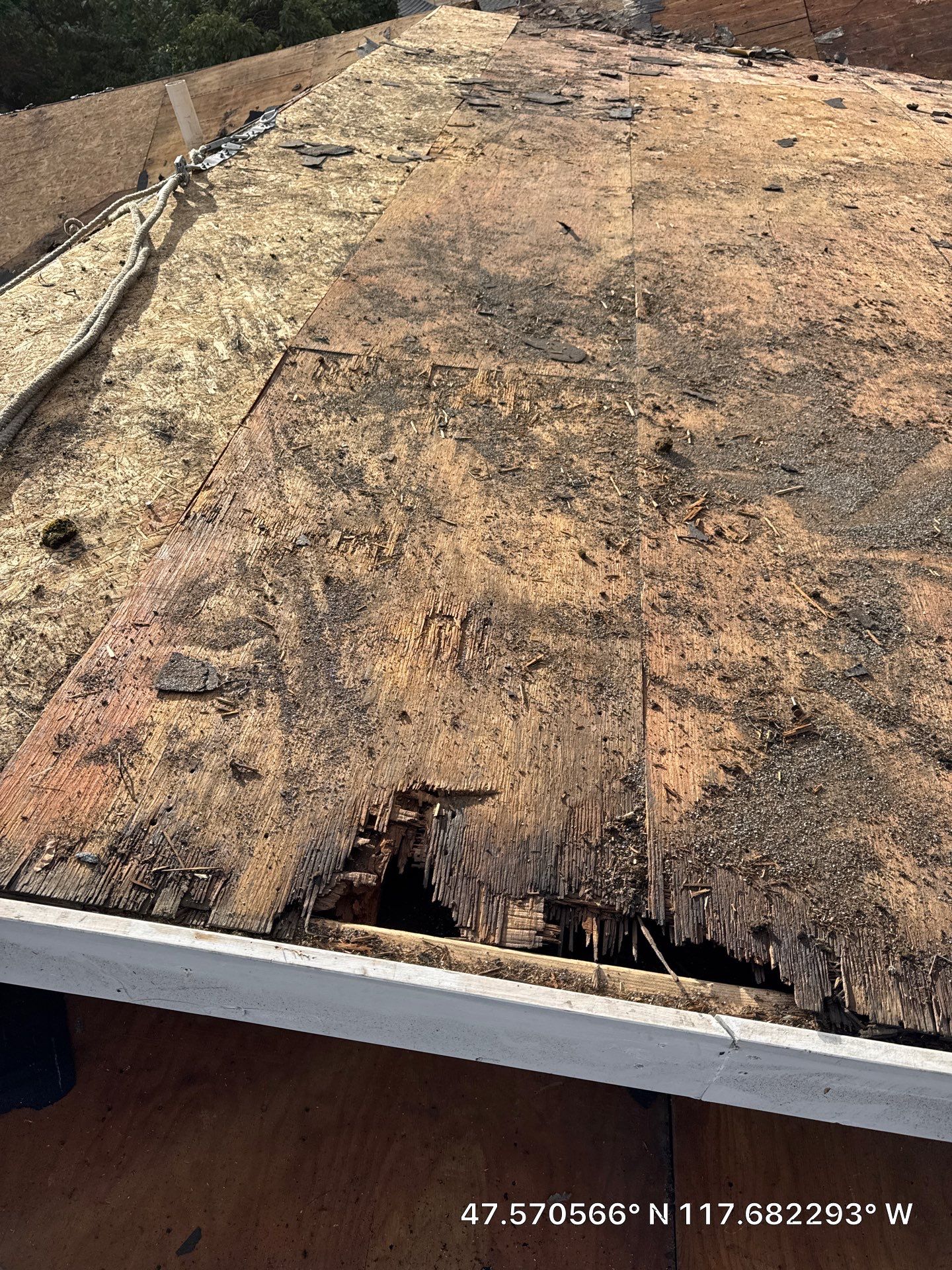 Medical Lake Asphalt Shingle Roof Replacement and Structural Decking Repair by Alpine Roofing