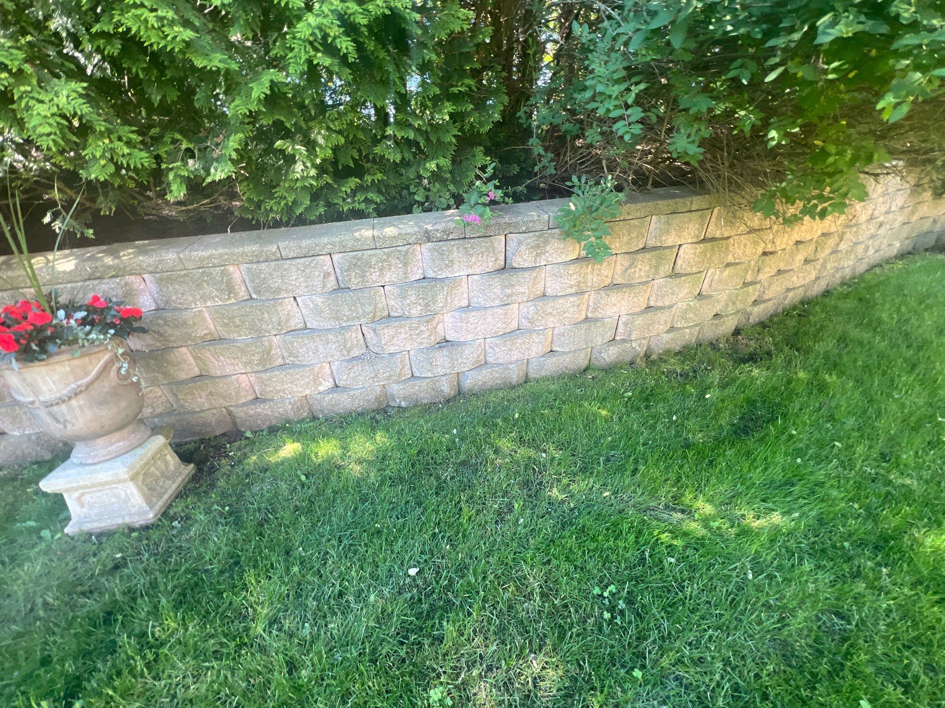 concrete cleaning using Algaecide, soft wash soap by Northern Power Washing LLC.