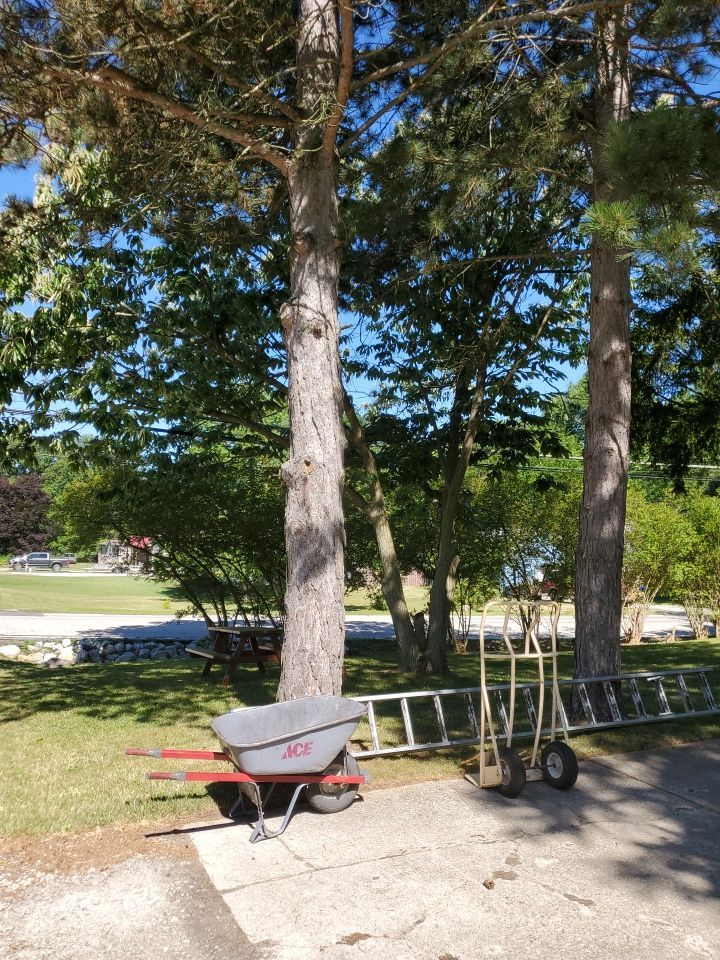 Tree Removal using Tree Removal by Mike Jones & Sons Tree Service LLC 