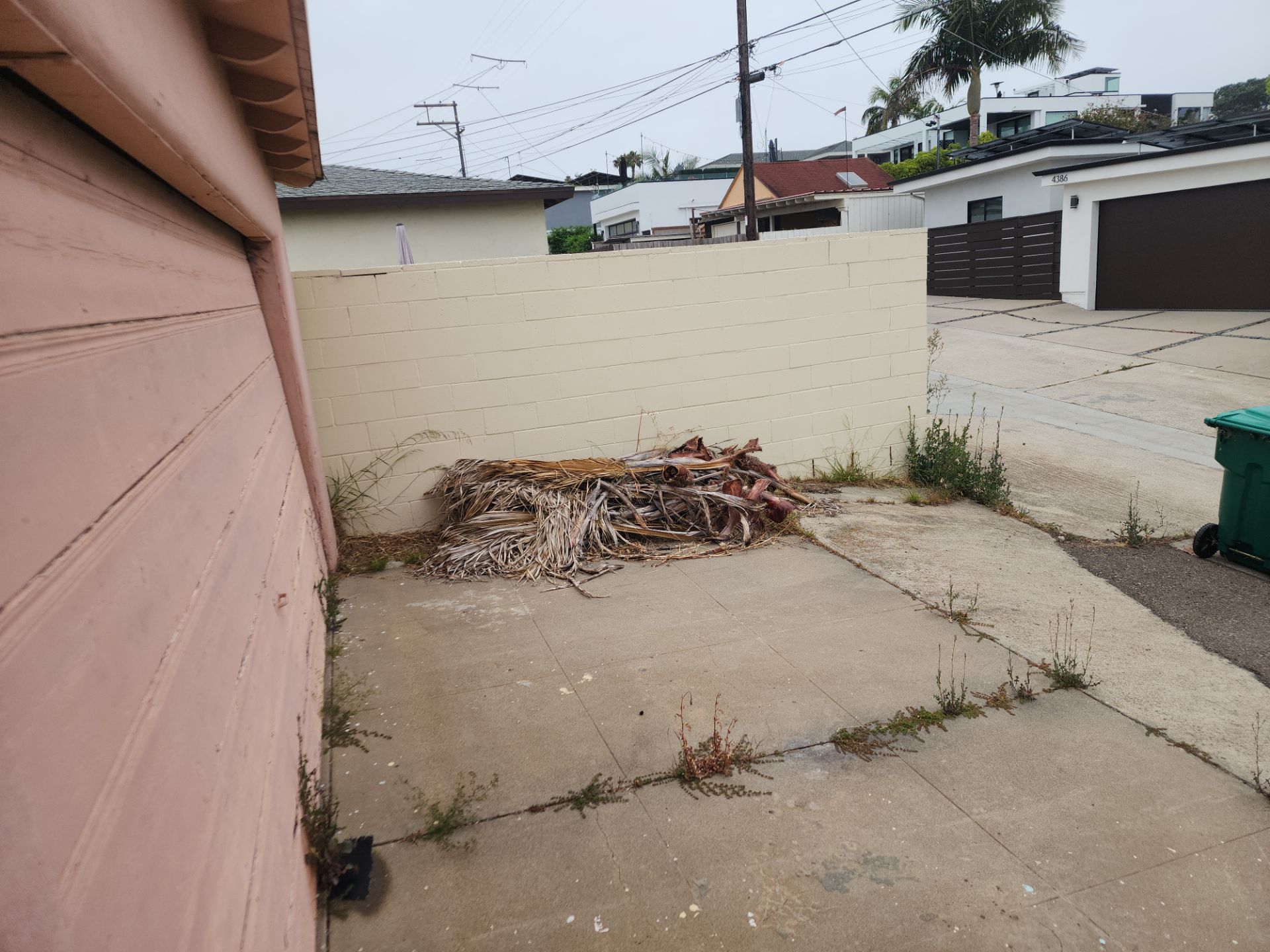 San Diego Landscape Clean Up by Yard Techs