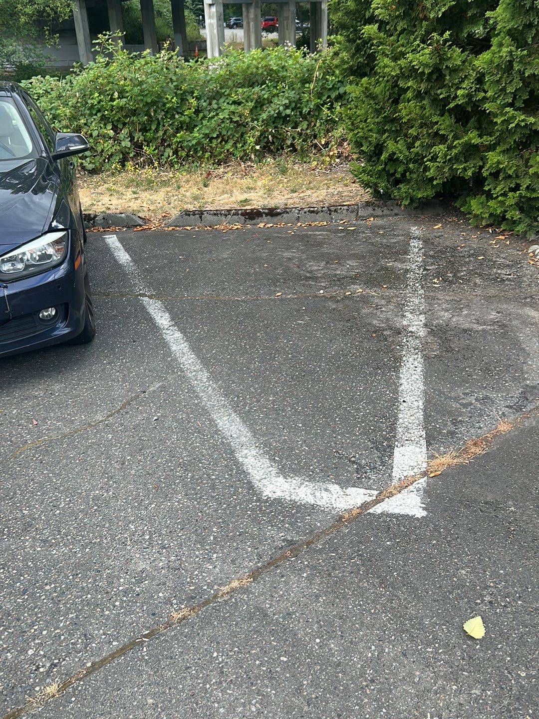 Larry | Asphalt Driveway Repair  by Jireh Asphalt & Concrete Inc 