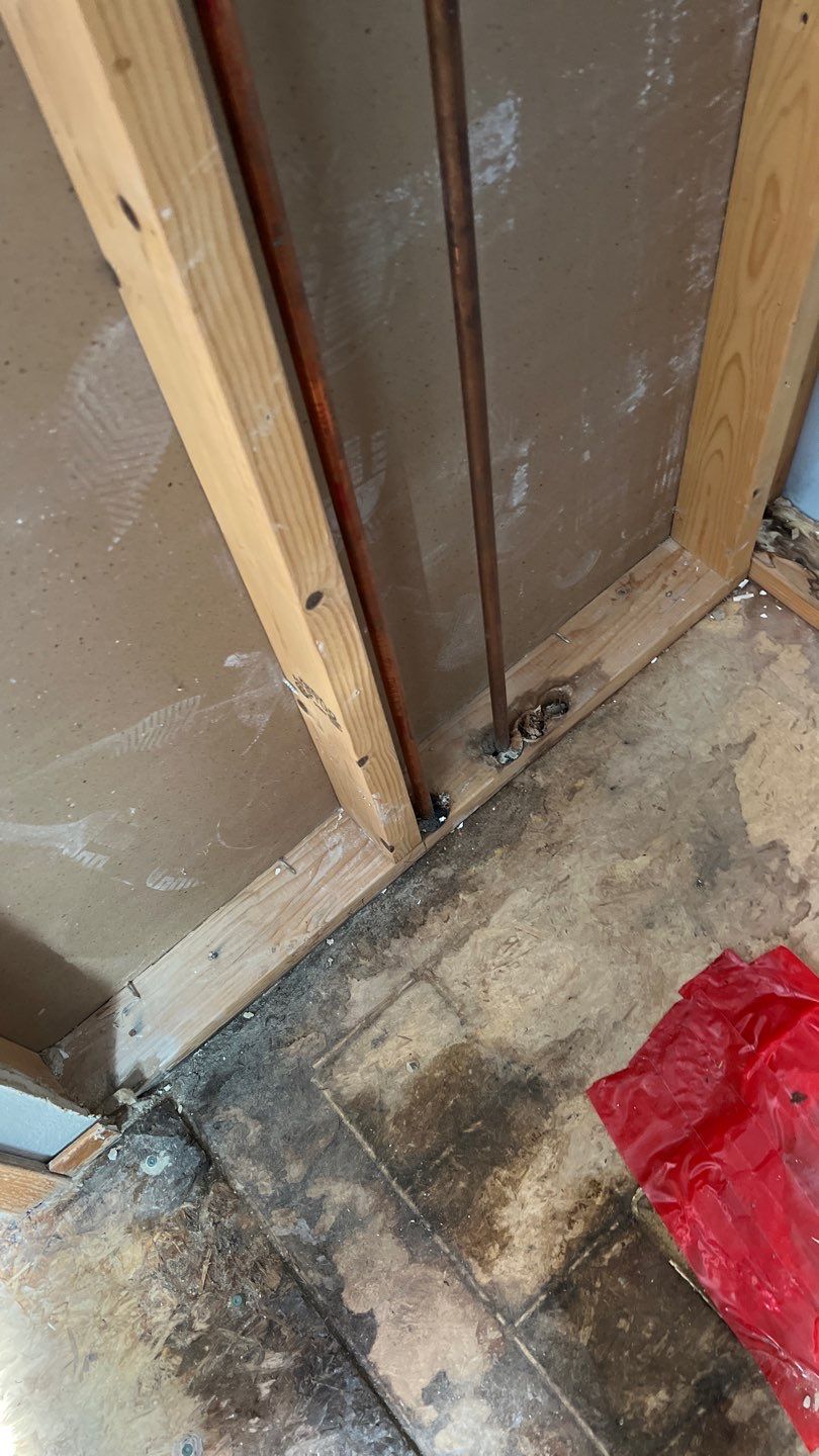 Water Damage and Mold Remediation by Accountable Home Services