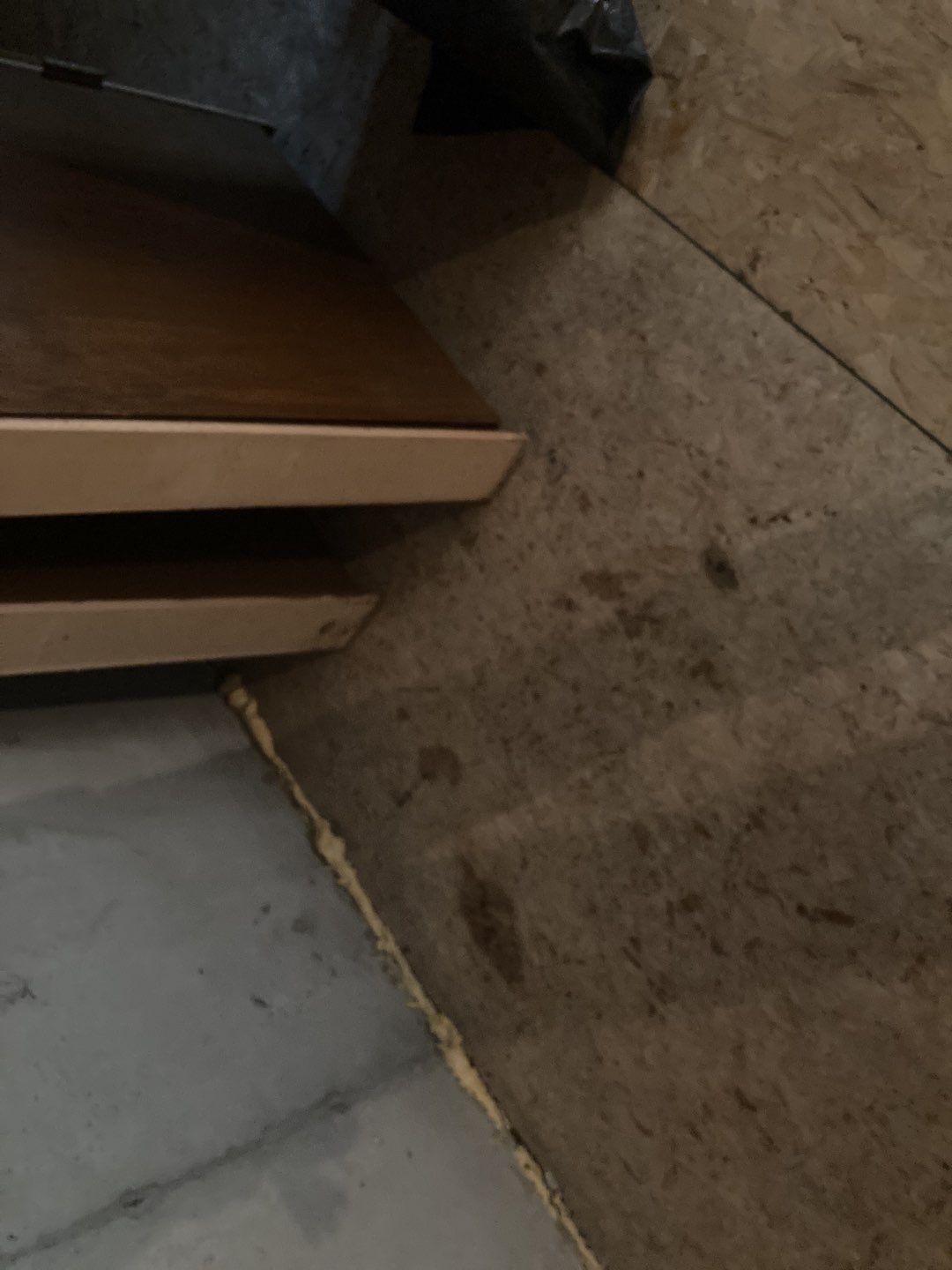 Mold Remediation in Kitchen by Accountable Home Services