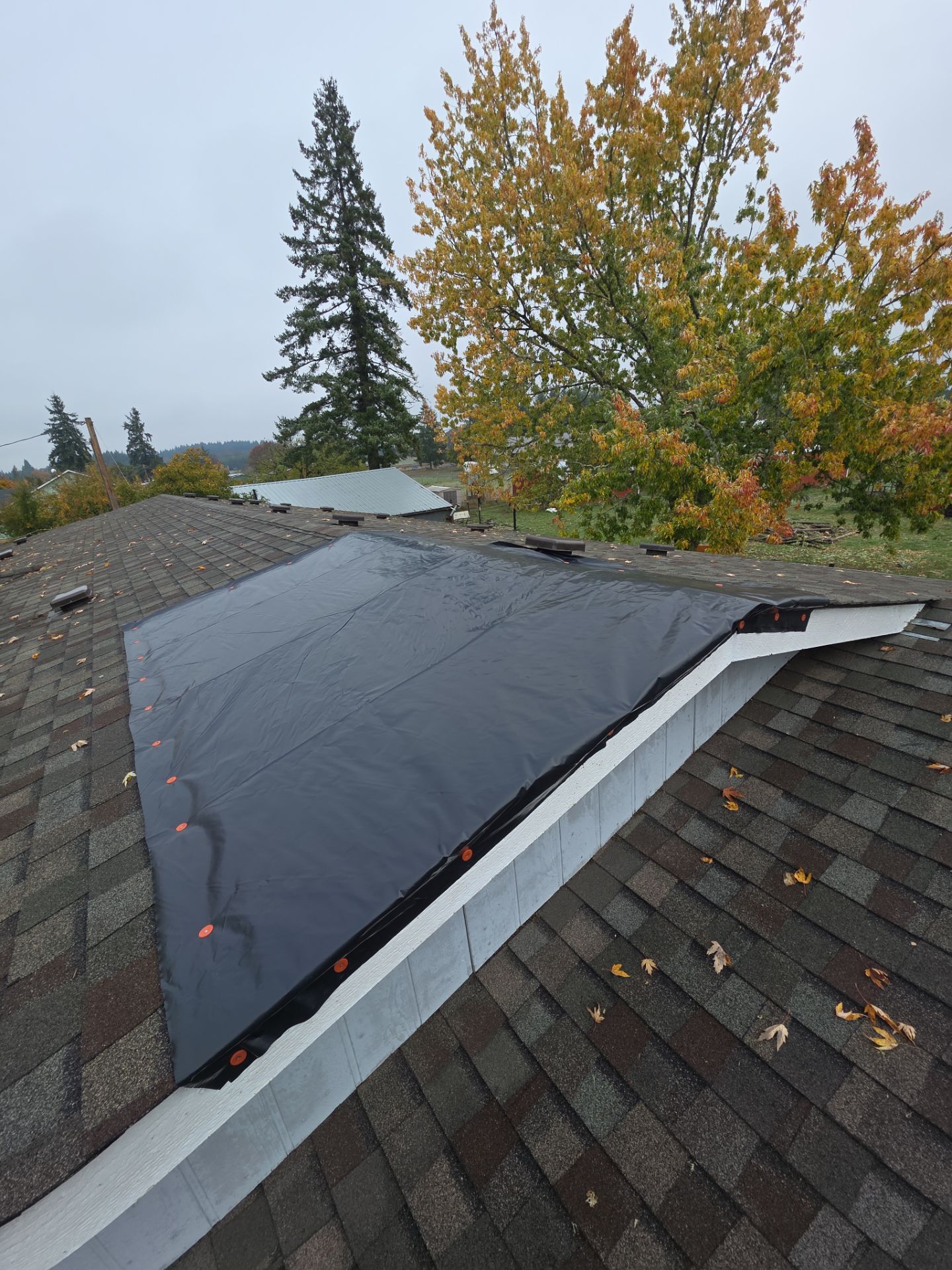 Alamo Roofing featured photo.