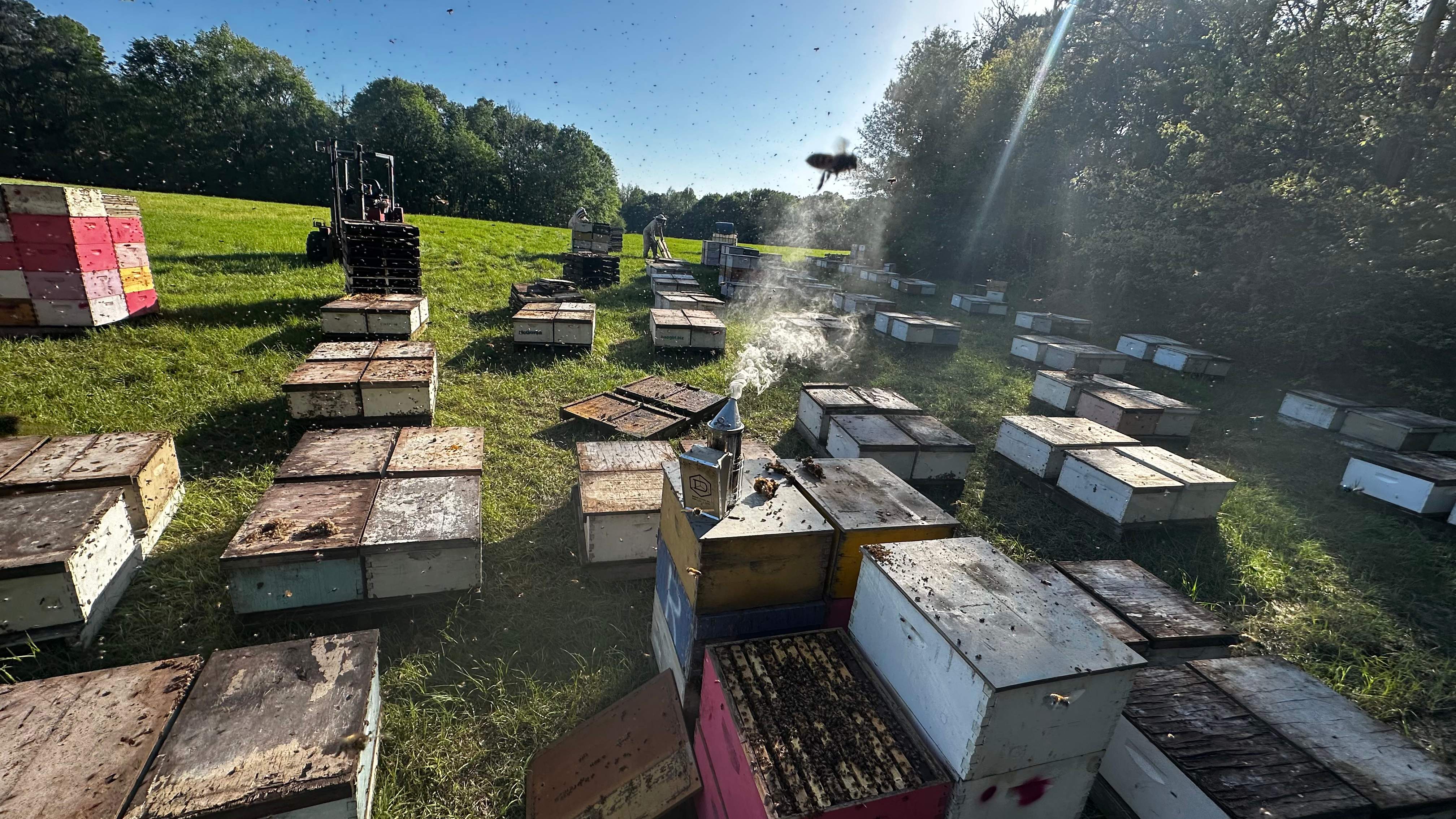 Traylor's Hay Meadow Apiary by Rockwall Honey Bee Company