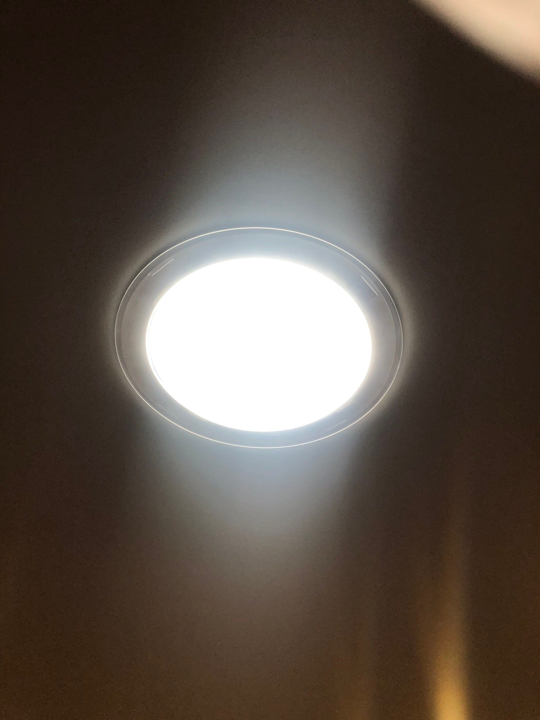 Fairfax Station: Multi-Trade Tree Damage Restoration by RM Banning, Inc.