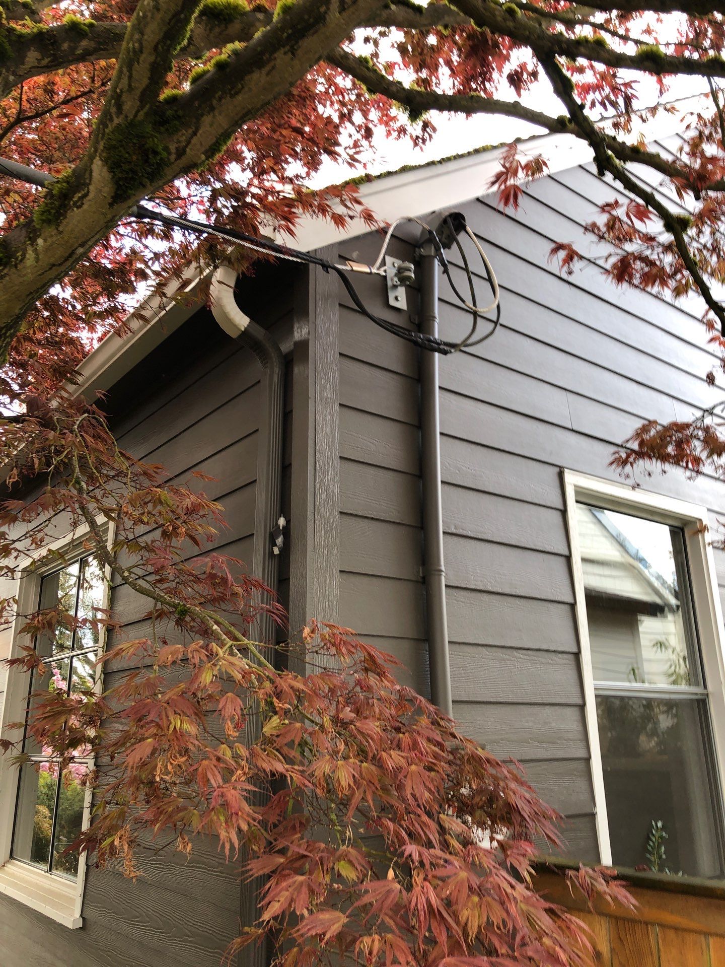 Project in Seattle by Peaks and Valleys Construction