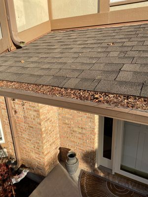 Turtle Shell gutter protection installation in Naperville, IL 60565, photograph 18