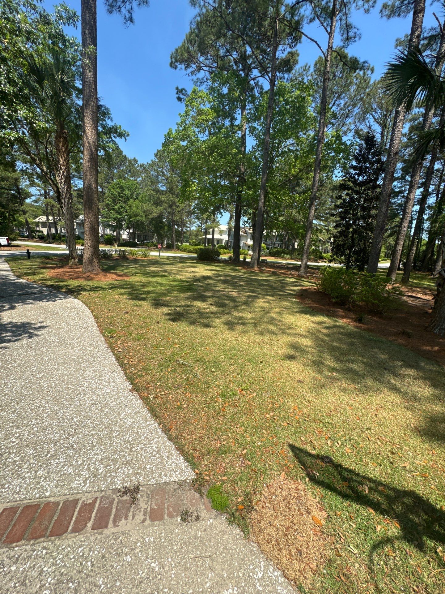 Comprehensive Landscape Design and Custom Hardscape Installation in Bluffton by Lowcountry Scapes, LLC