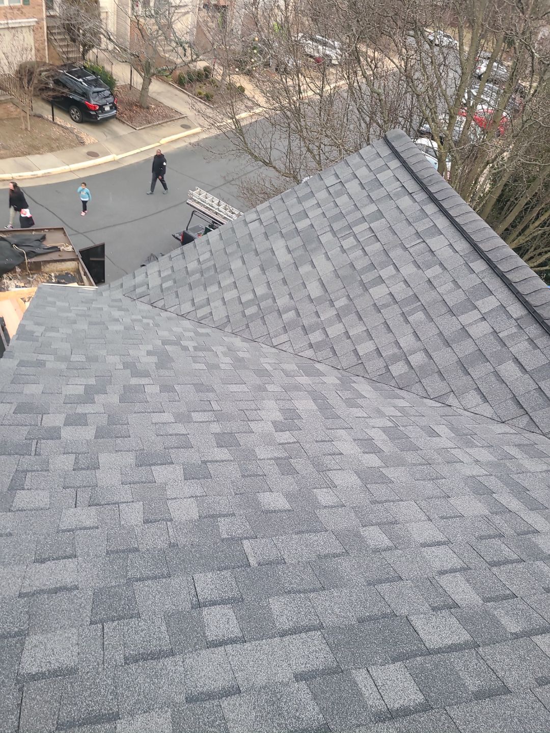 Alexandria CertainTeed Landmark Pro Roof in Max Def Pewterwood  by RM Banning, Inc.