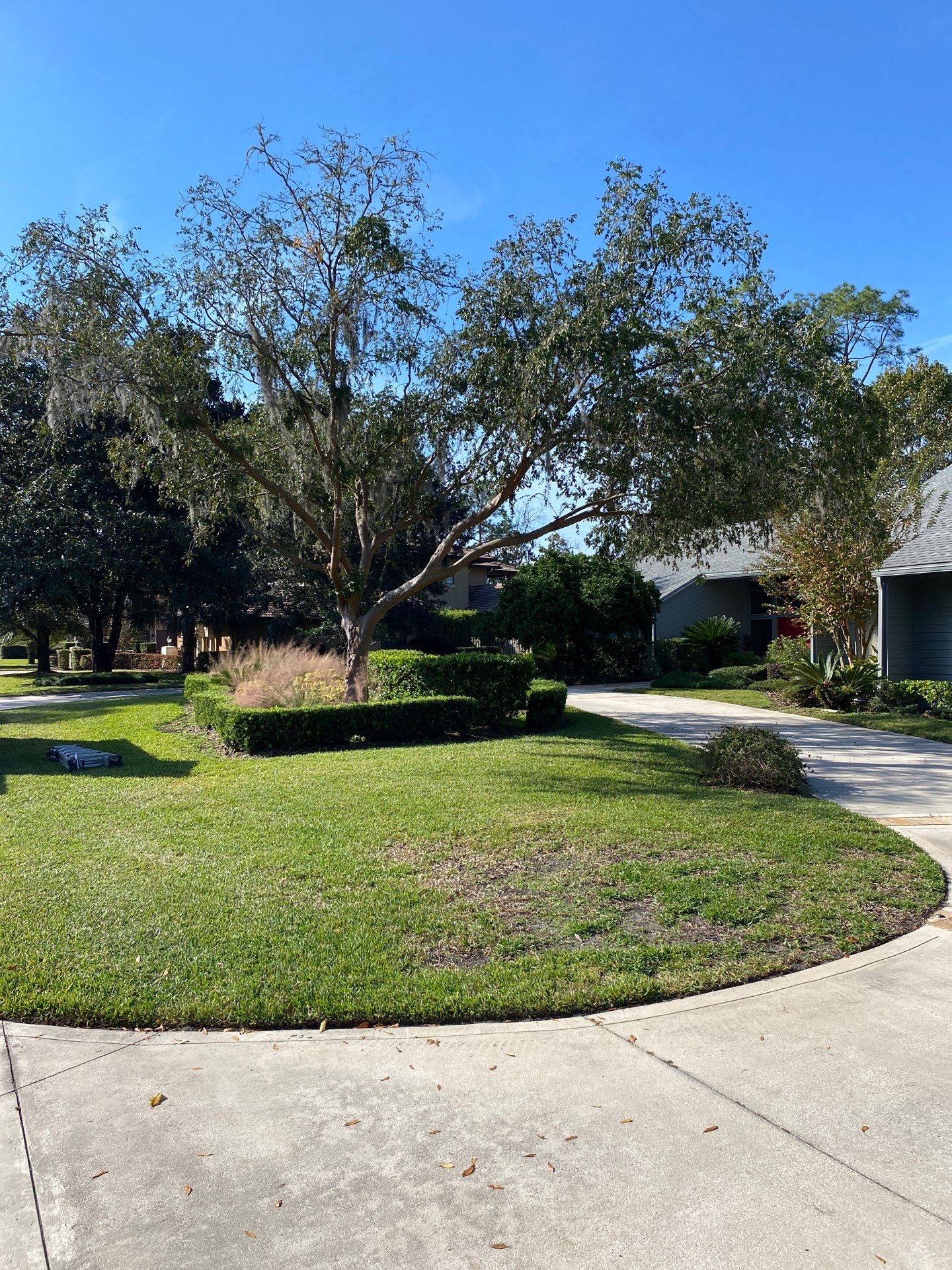 Deerwood Resident | Tree Trimming & Removal by ProGreen Services