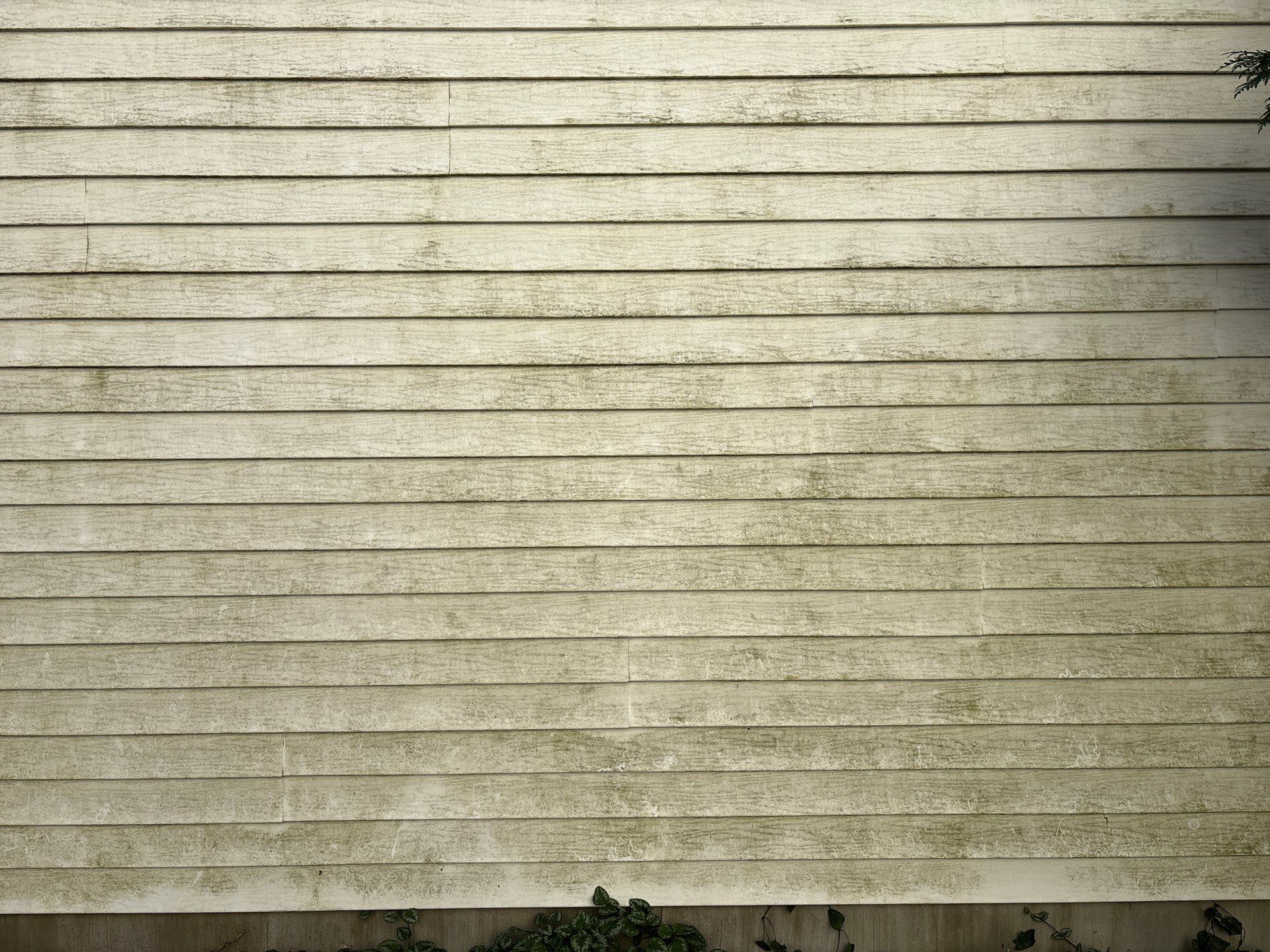 Residential Vinyl Siding Cleaning and Wood Deck Power Washing in Madison by Under Pressure Power Washing
