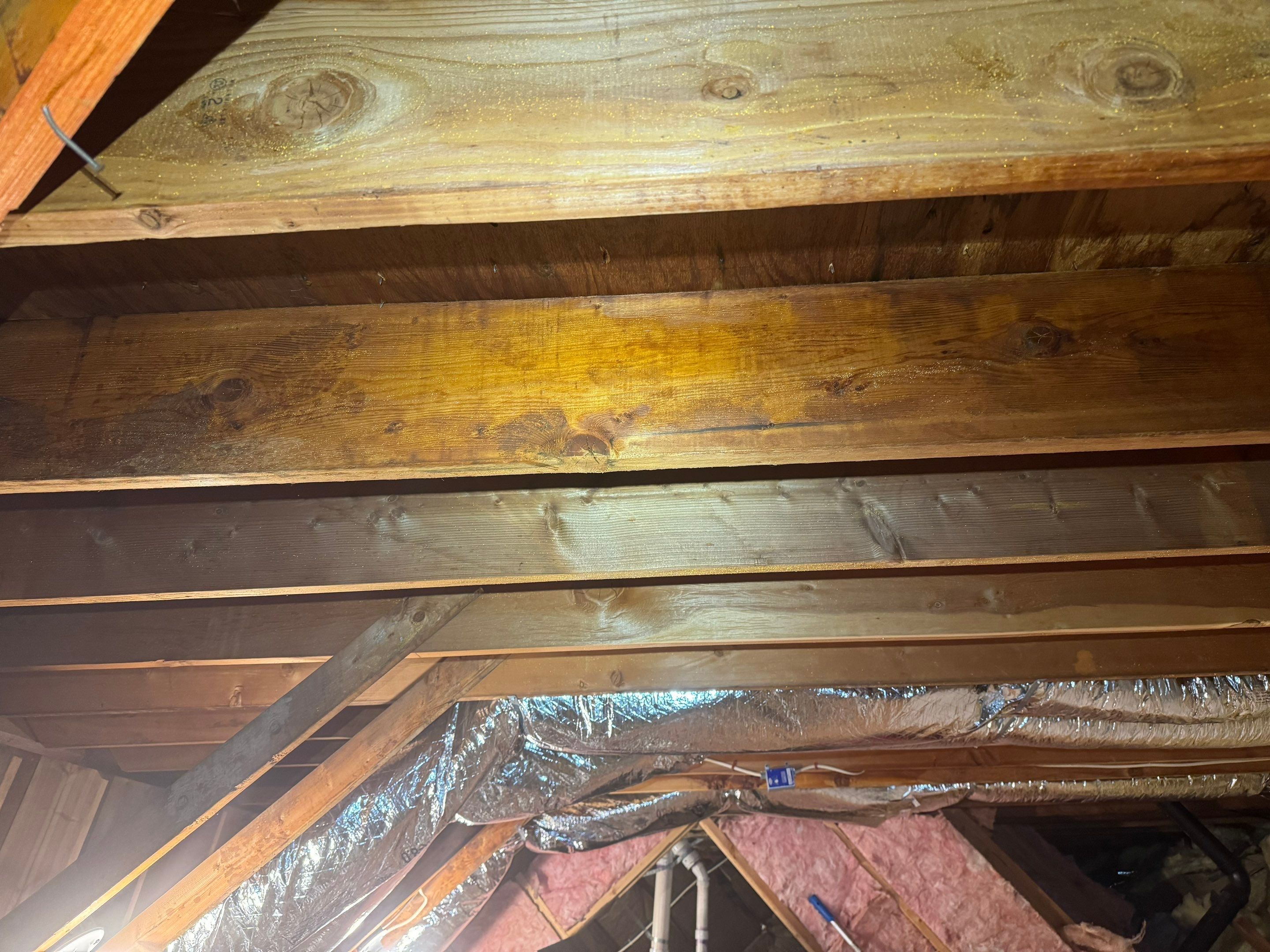 Bathroom Mold Remediation by Home Guarantee, LLC