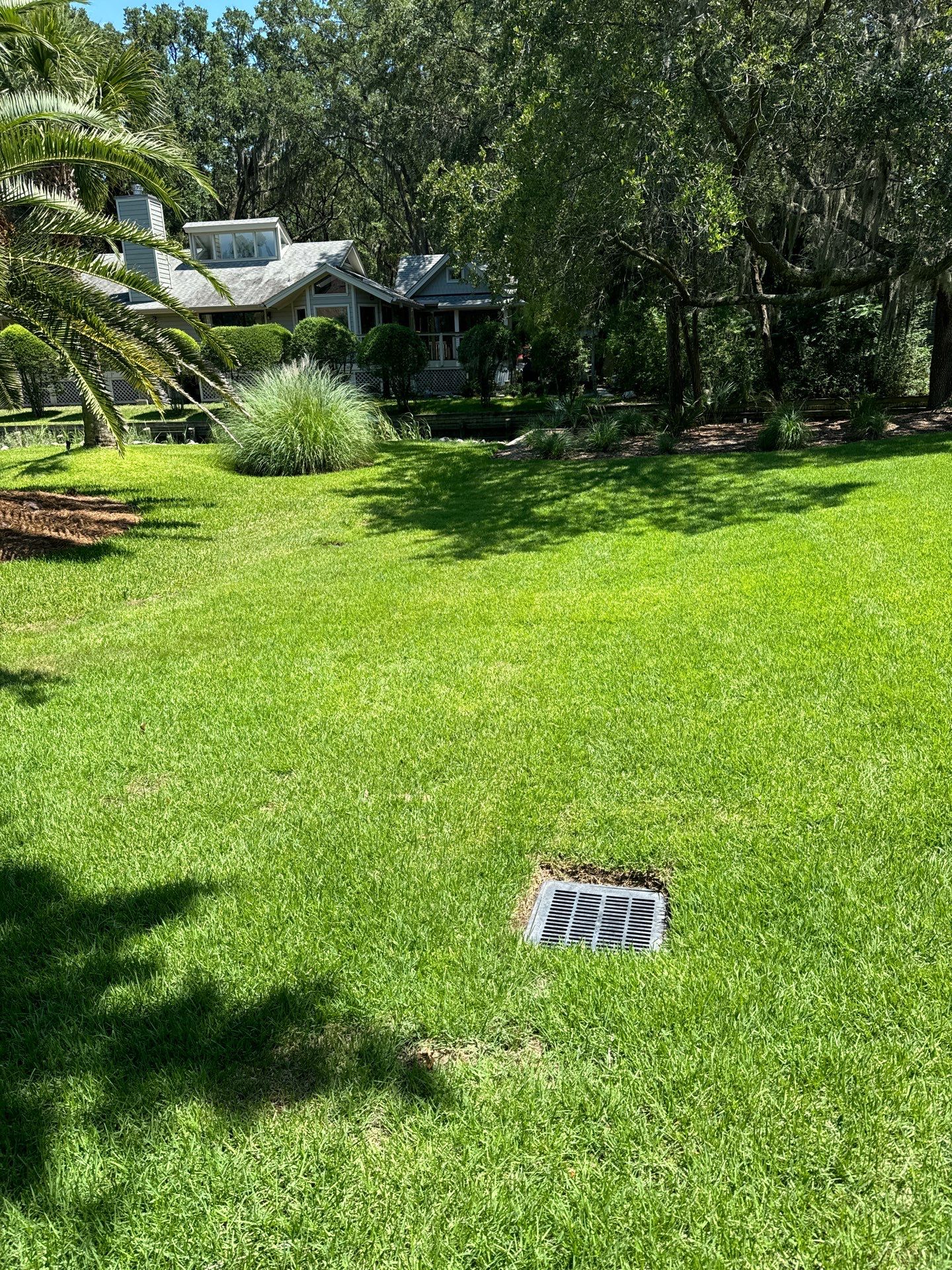 Residential Drainage Solutions and Sod Installation in Hilton Head Island by Lowcountry Scapes, LLC