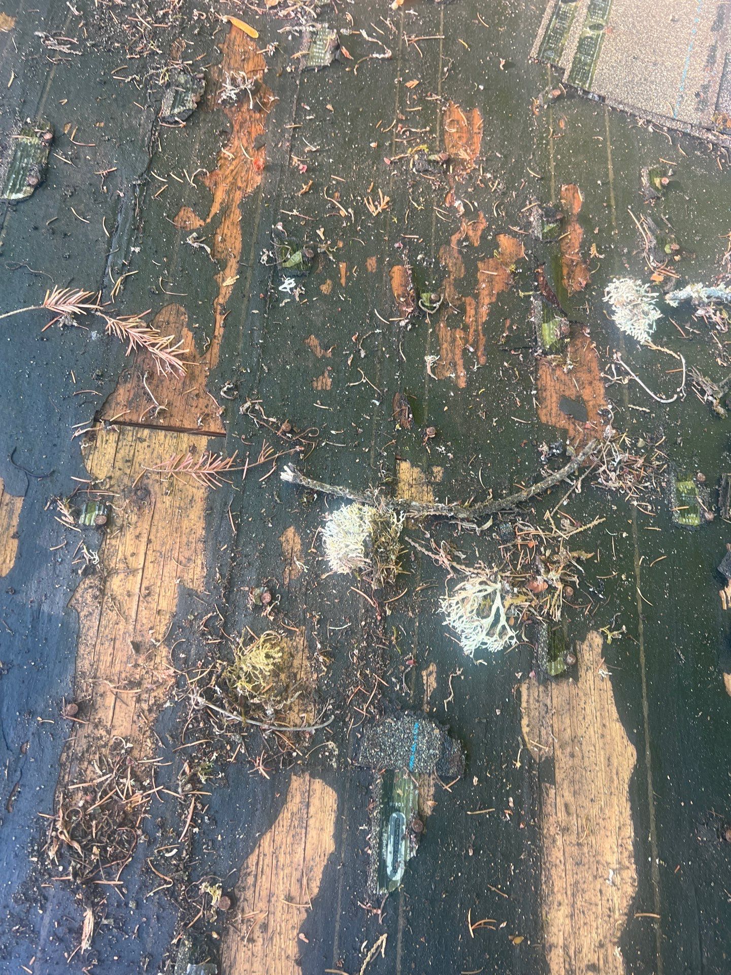 Project in Bellevue by Roofing Formula LLC