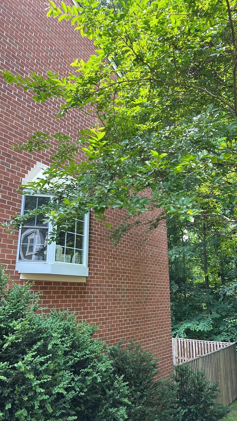 Reston: CertainTeed Landmark Pro Architectural Shingles in Max Def Moire Black by RM Banning, Inc.