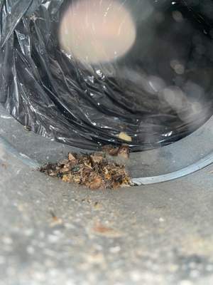 Duct Cleaning using Rotobrush Beast