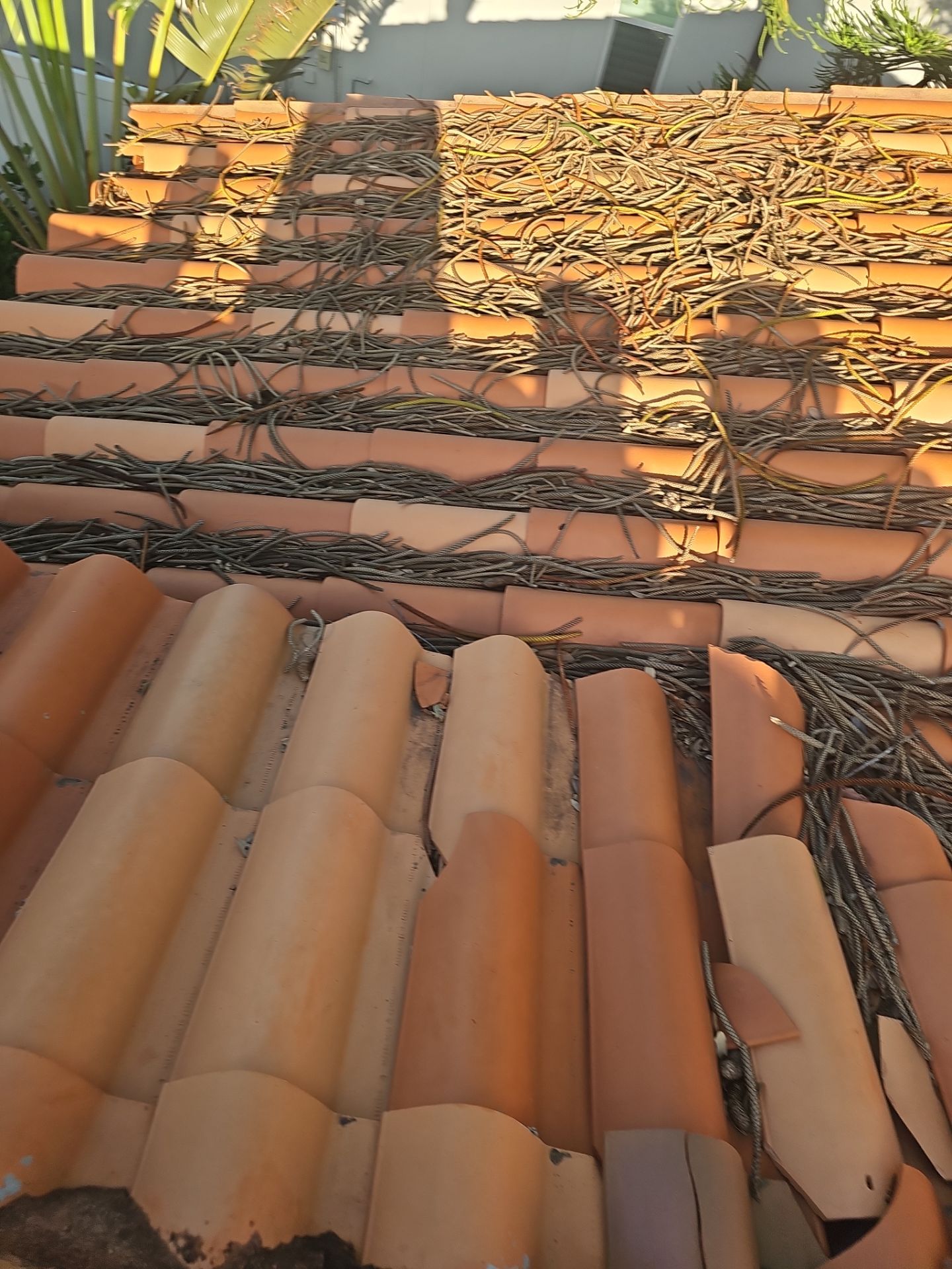 Project in Belleair Bluffs 33770 by Mitchell Roofing Company LLC 